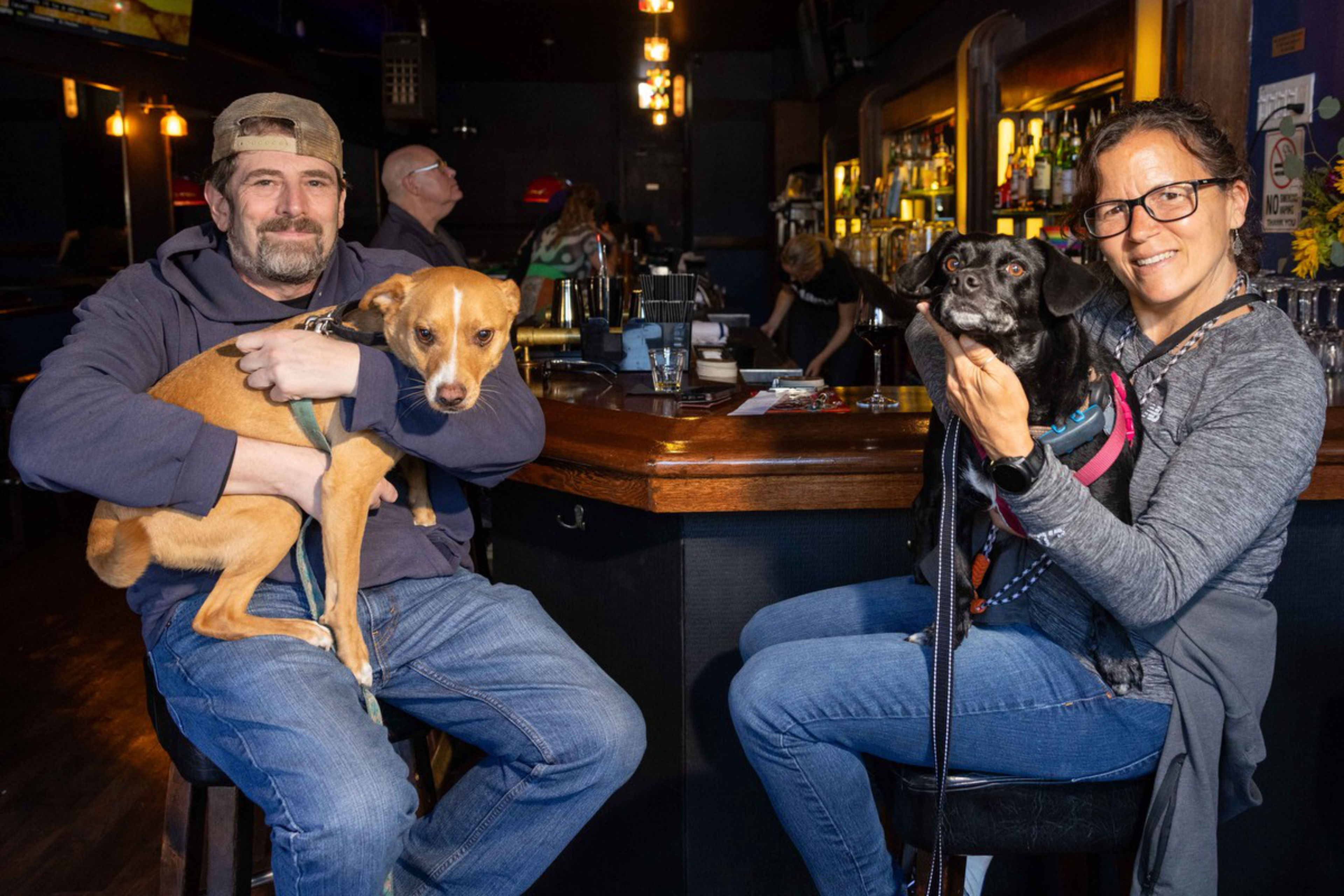 A man and woman sit on bar stools inside a dimly lit pub, each holding a dog—a tan dog on the man’s lap and a black dog on the woman’s lap.