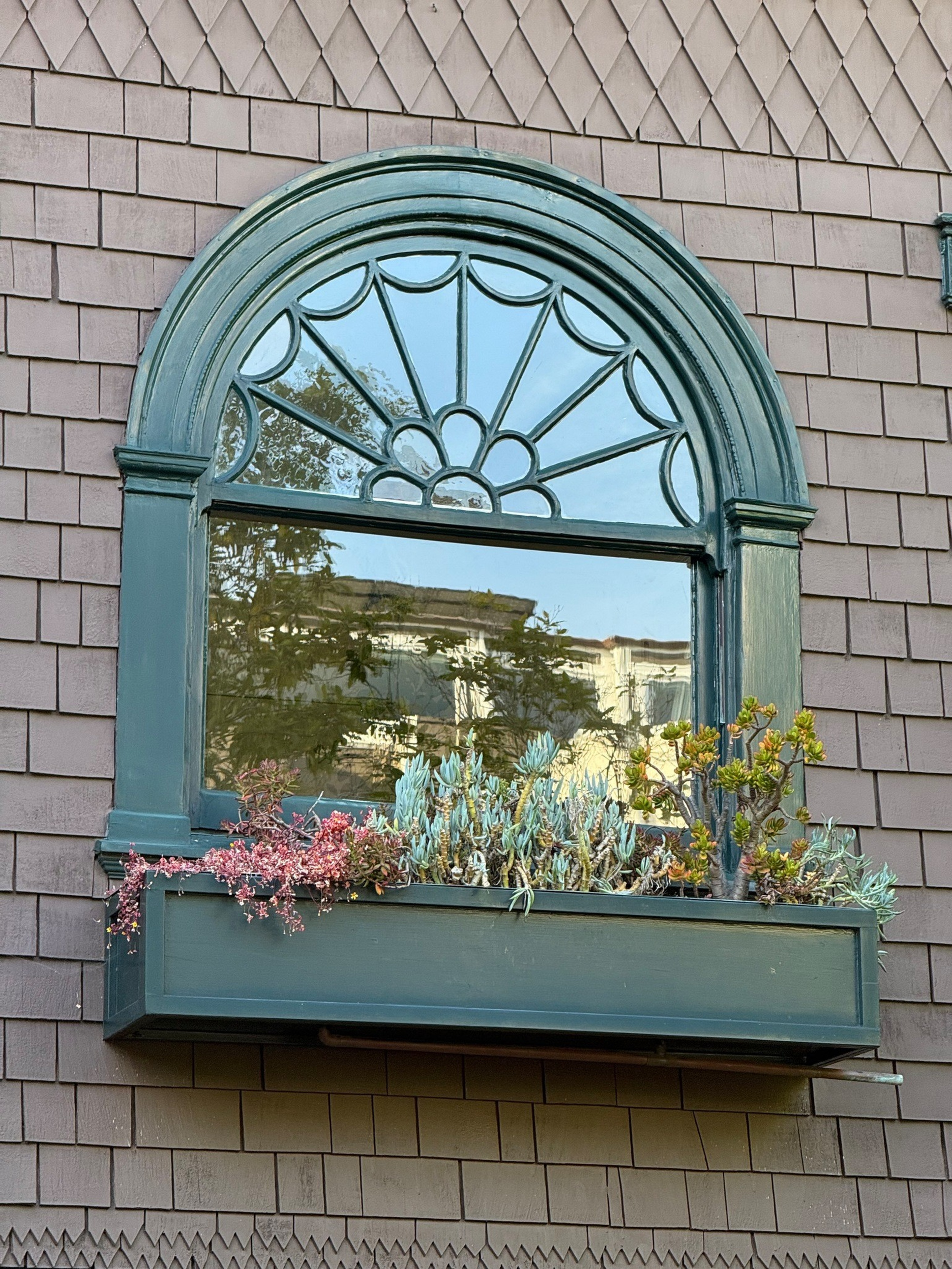 An arched window with decorative panes features a green frame and a planter box filled with various succulents, reflecting nearby buildings and trees.