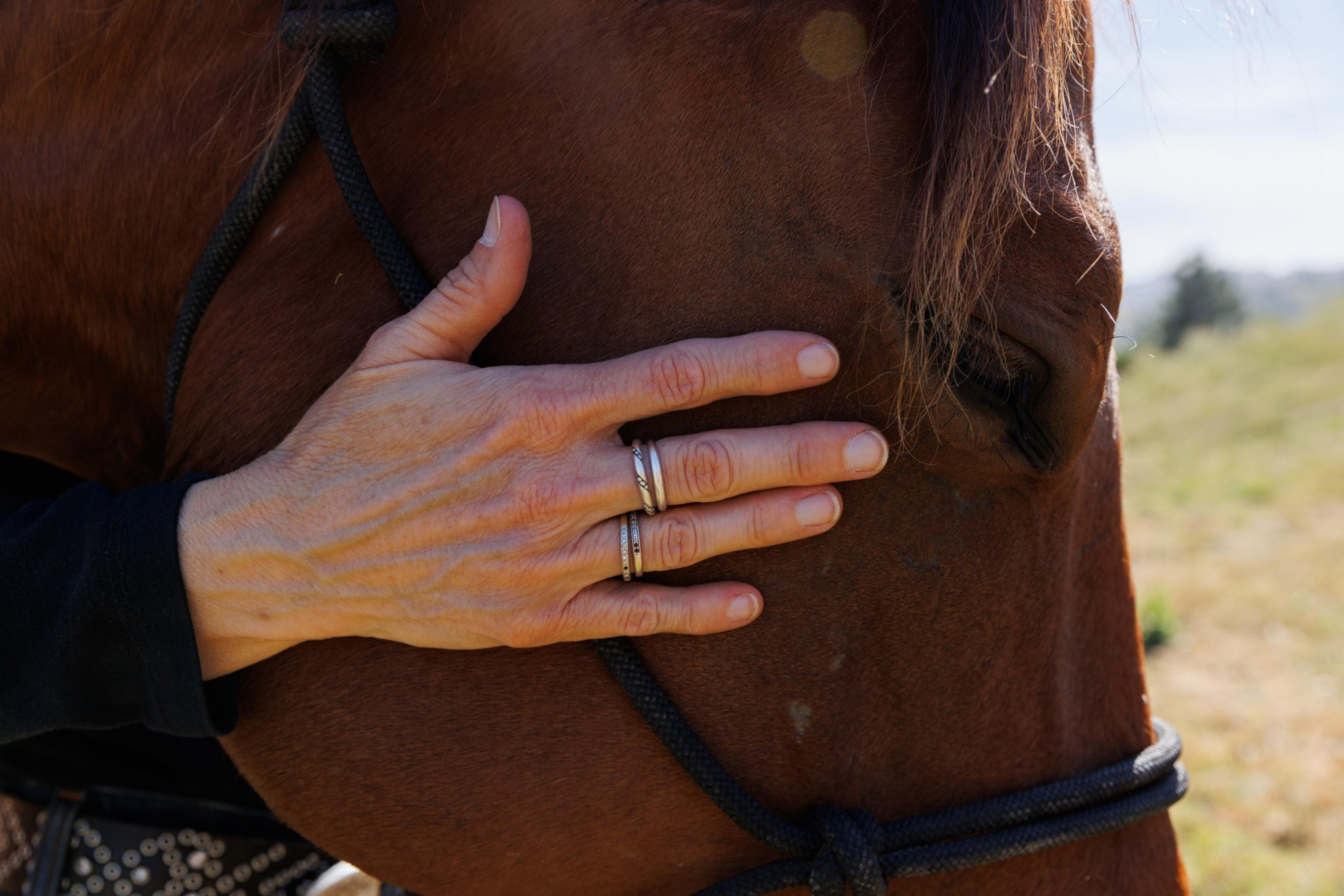 A person wearing silver rings rests their hand gently on the face of a brown horse, just below its eye, while holding a black rope halter.
