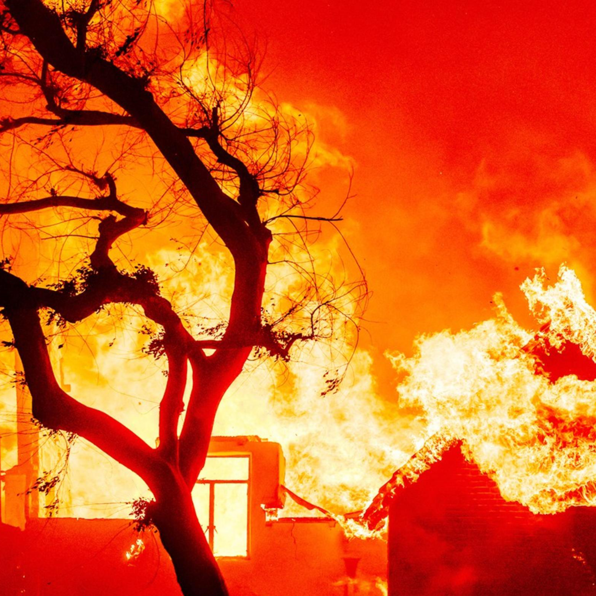 A house is engulfed in bright, intense flames amidst a fiery orange-red sky, with silhouetted trees in the foreground.