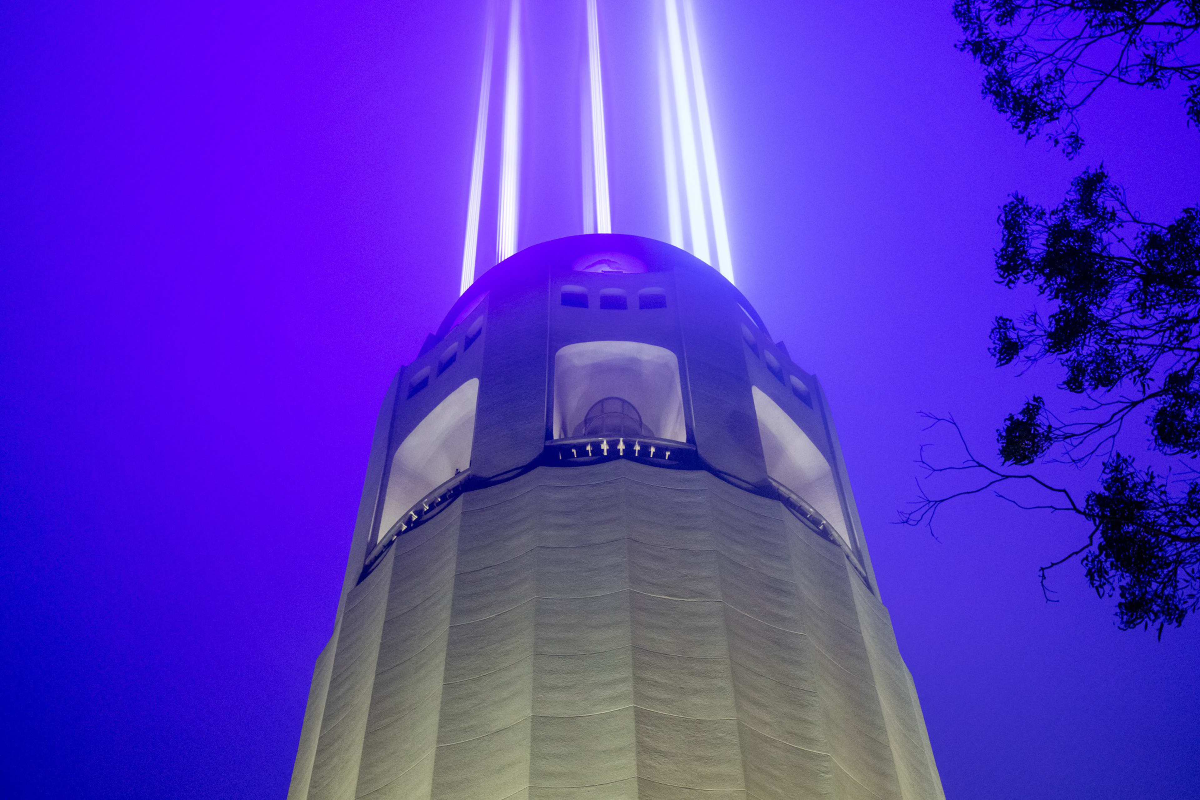 A tall tower emits four bright white beams of light into a purple sky, with tree branches visible on the right side of the image.