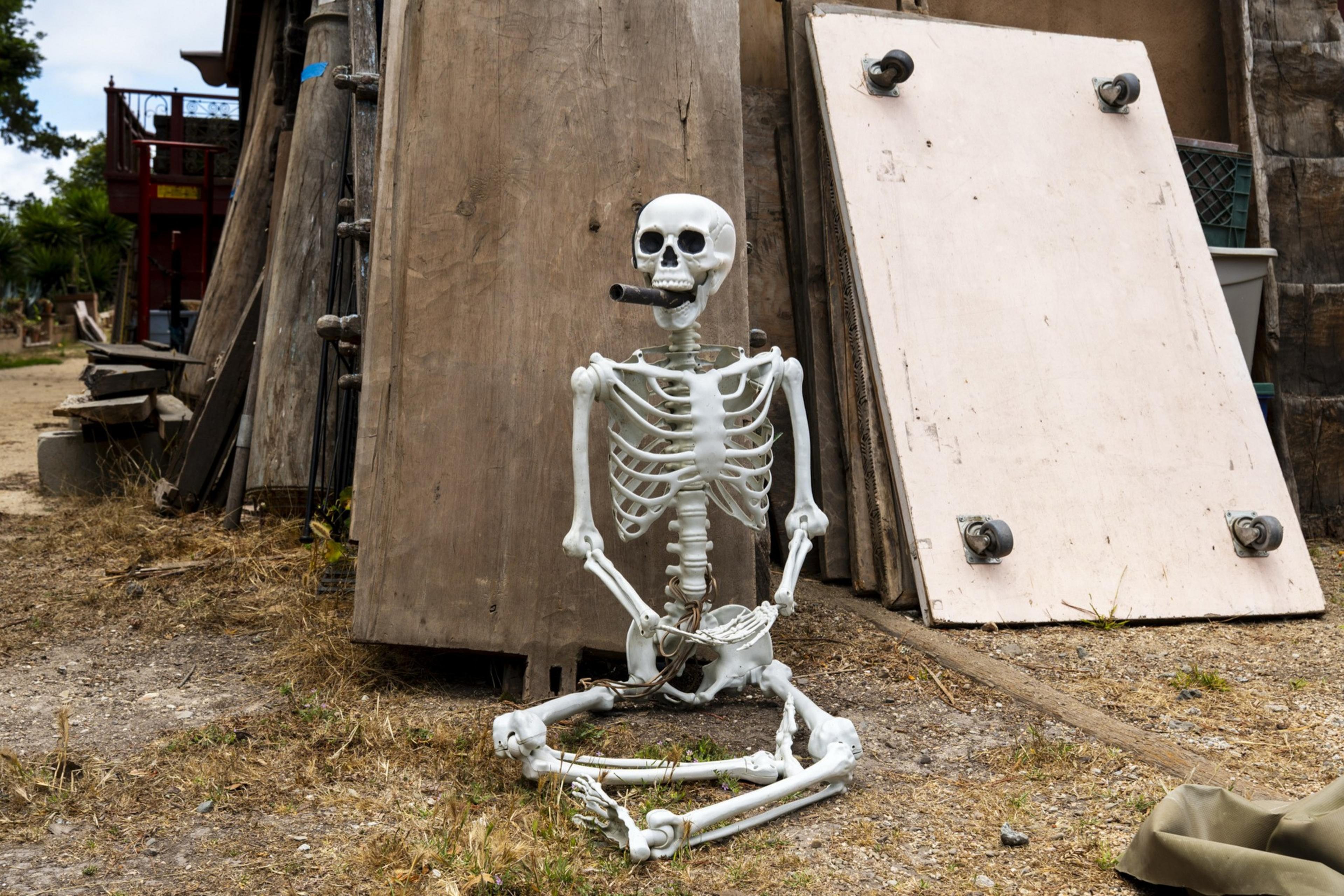A plastic skeleton sits on the ground, leaning against wooden boards. It's holding a cigar in its mouth, surrounded by scattered items and dry grass.