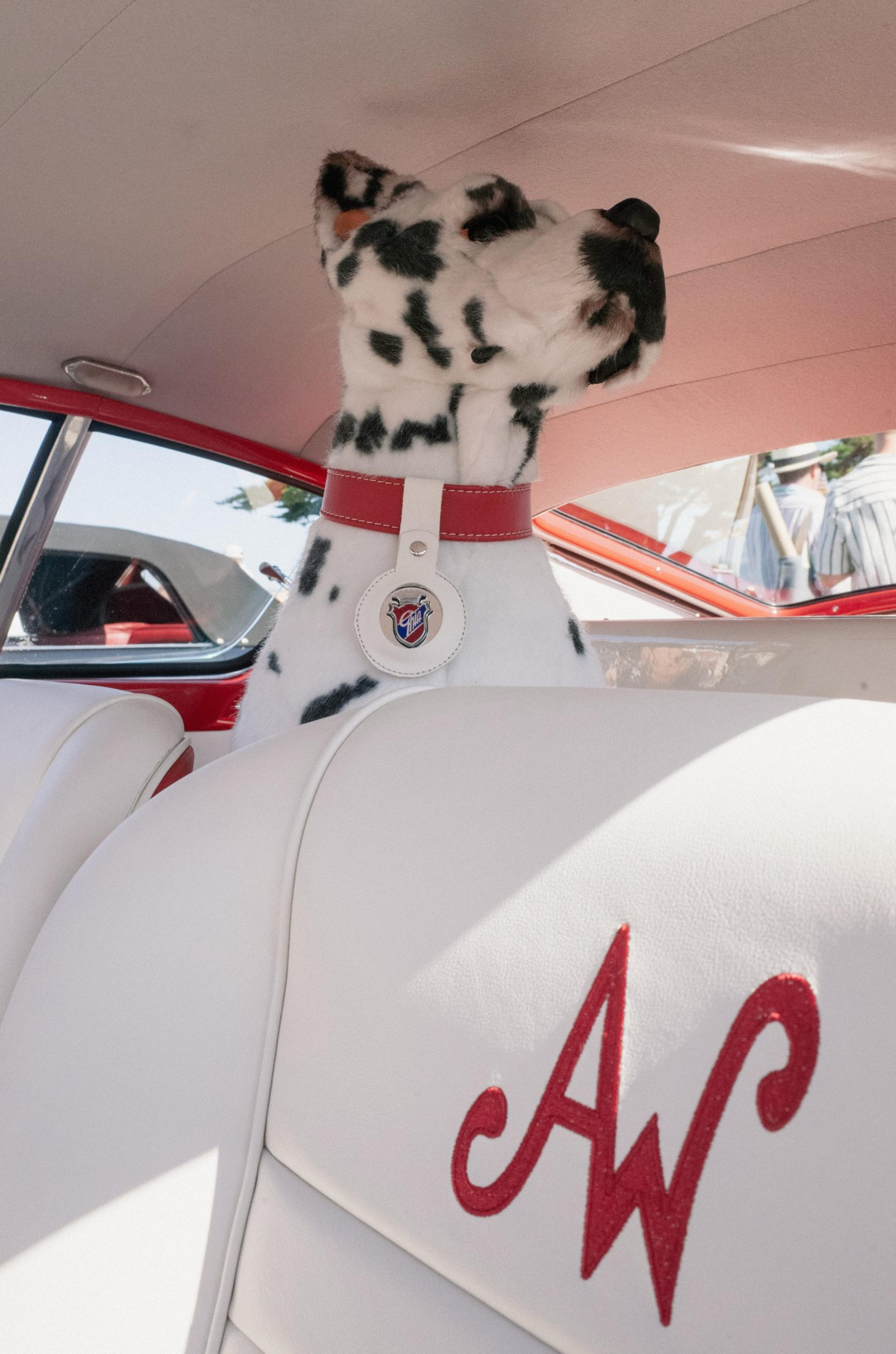A plush Dalmatian dog wearing a red collar sits inside a vintage car with white seats embroidered with red "AW" initials.