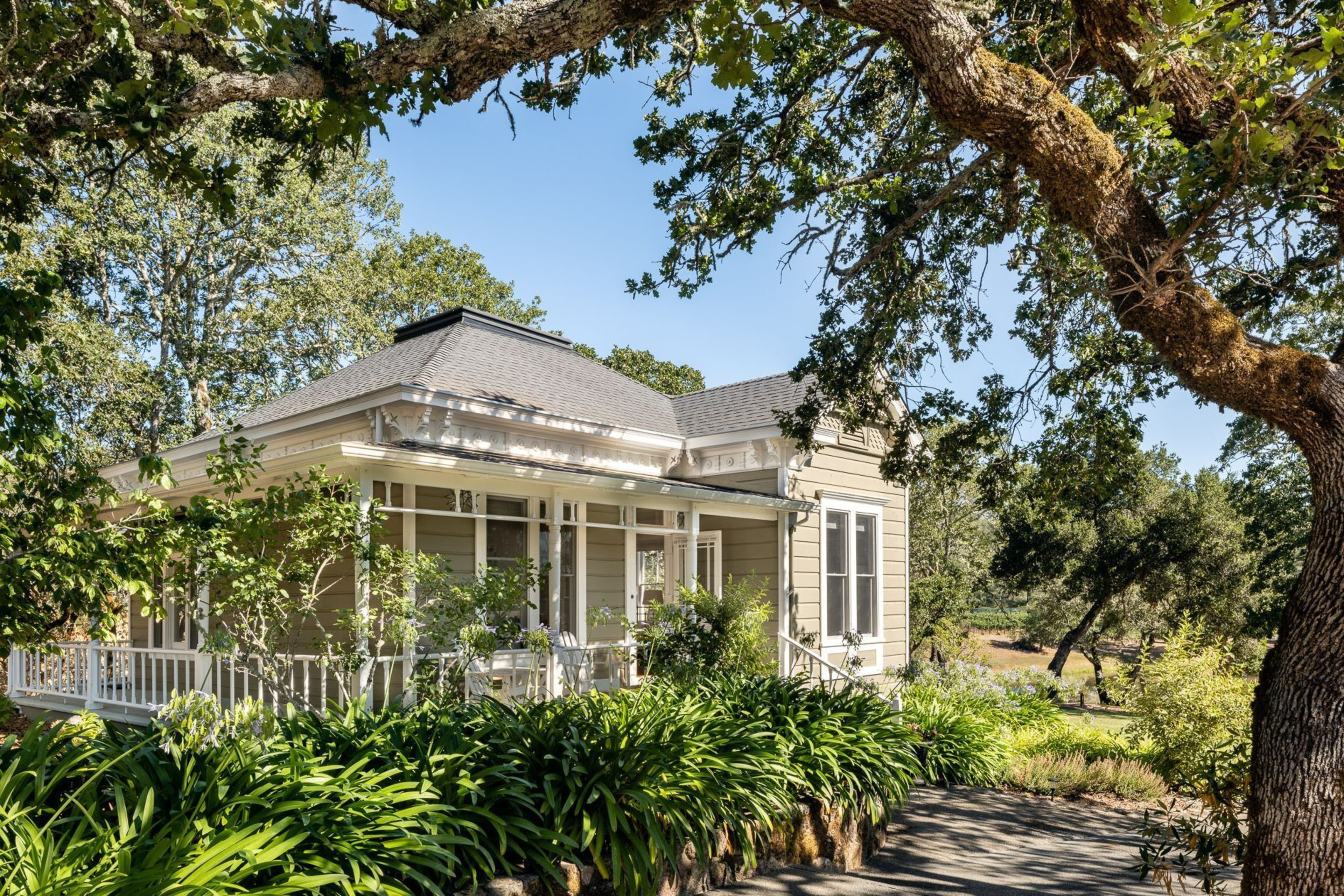 A light-colored house with a porch is surrounded by lush green plants and large trees under a clear blue sky.