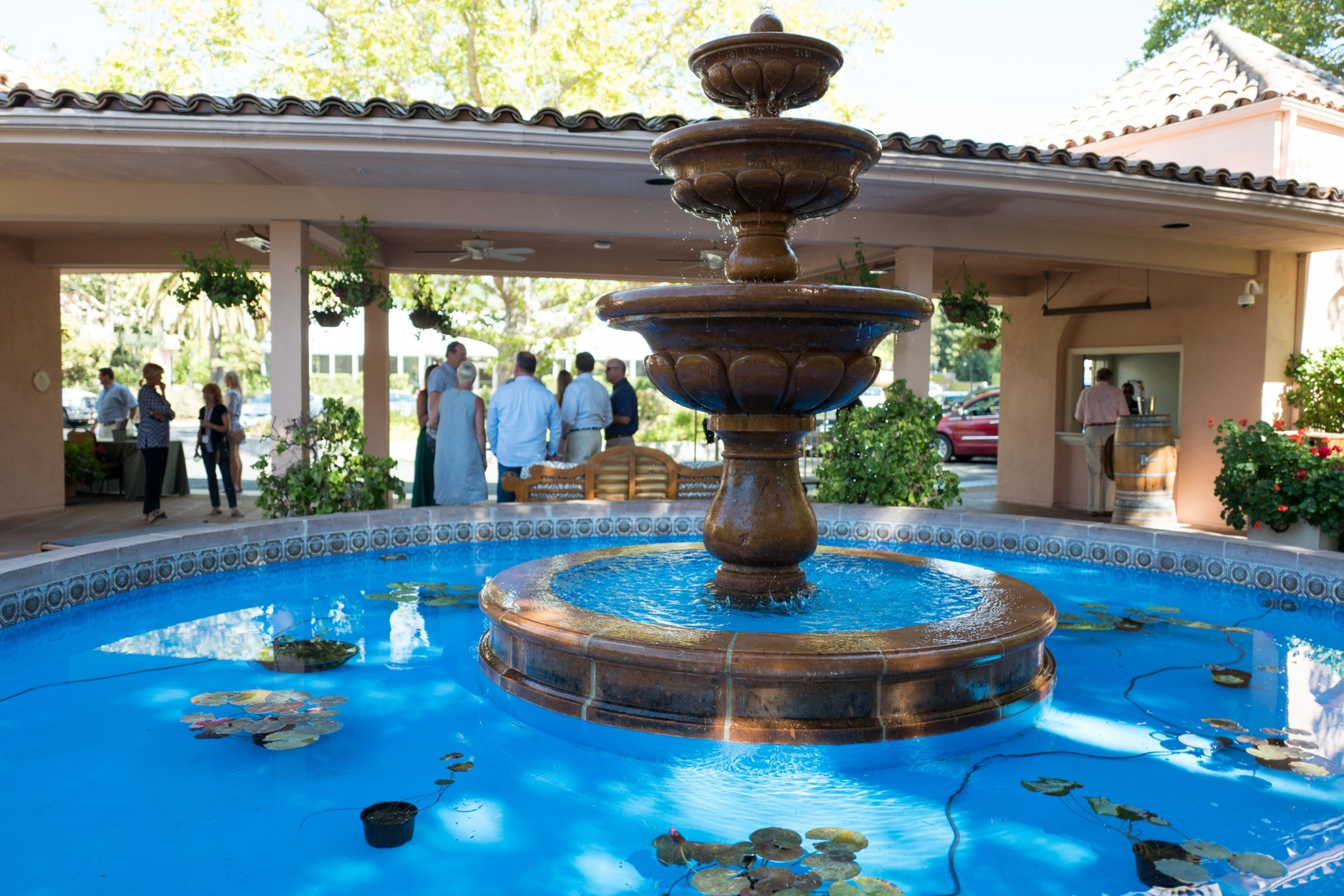 People stand near a stone fountain filled with water and lily pads.