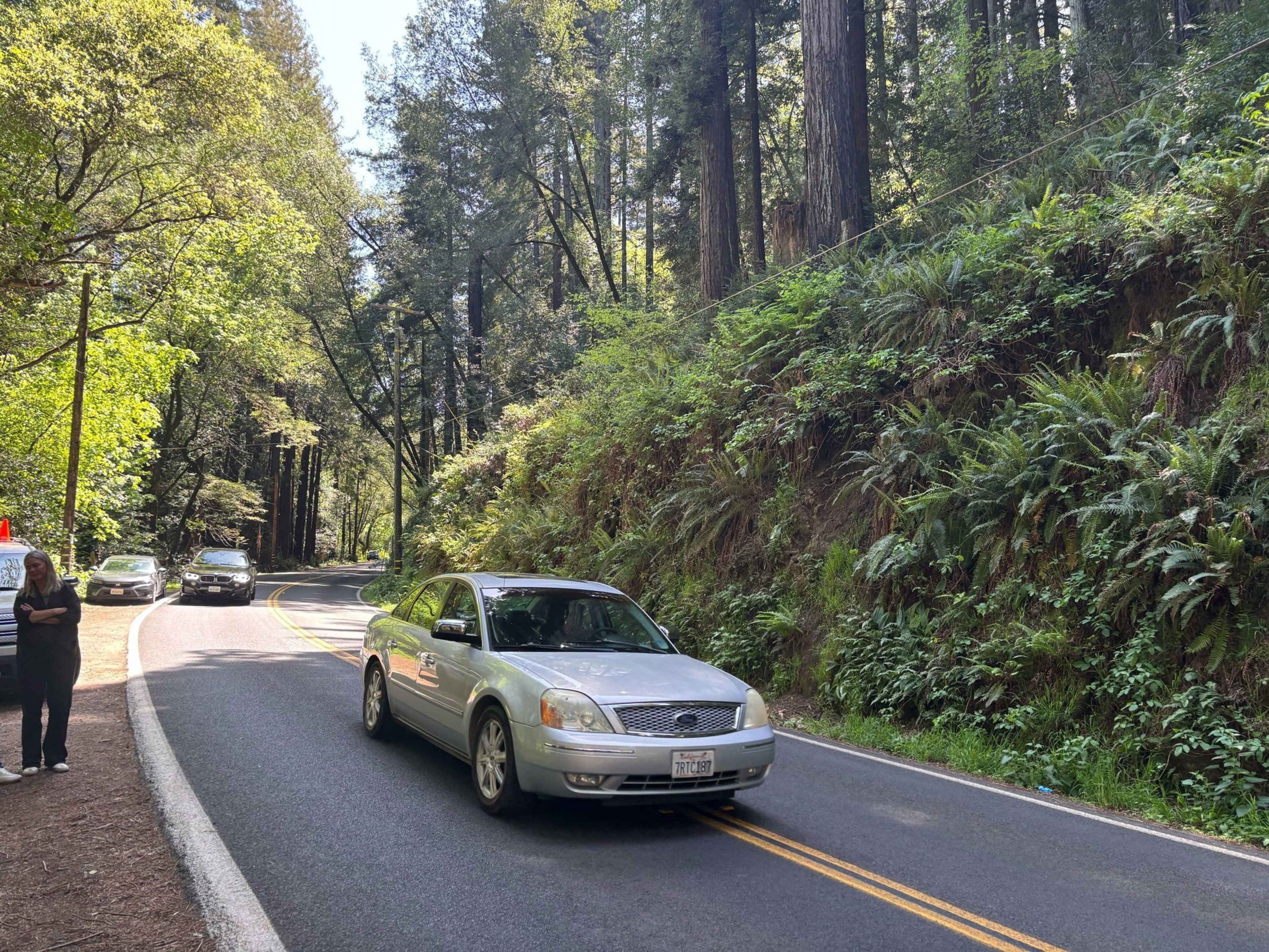 A silver car drives on a winding, forested road with tall trees and ferns. Another car and a person stand roadside, surrounded by lush greenery.