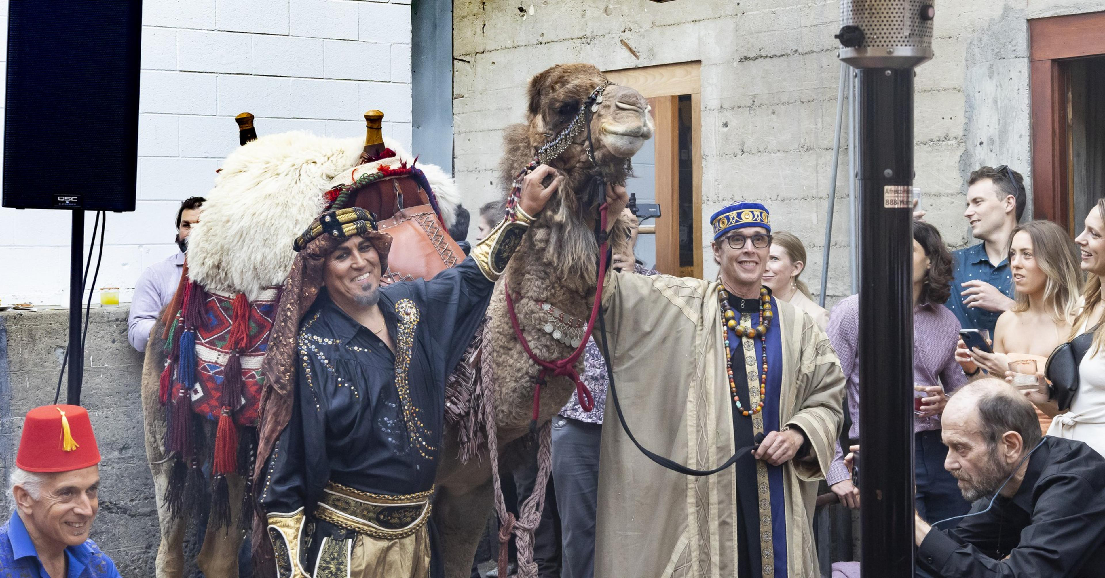 A camel makes an entrance for the 24th anniversary