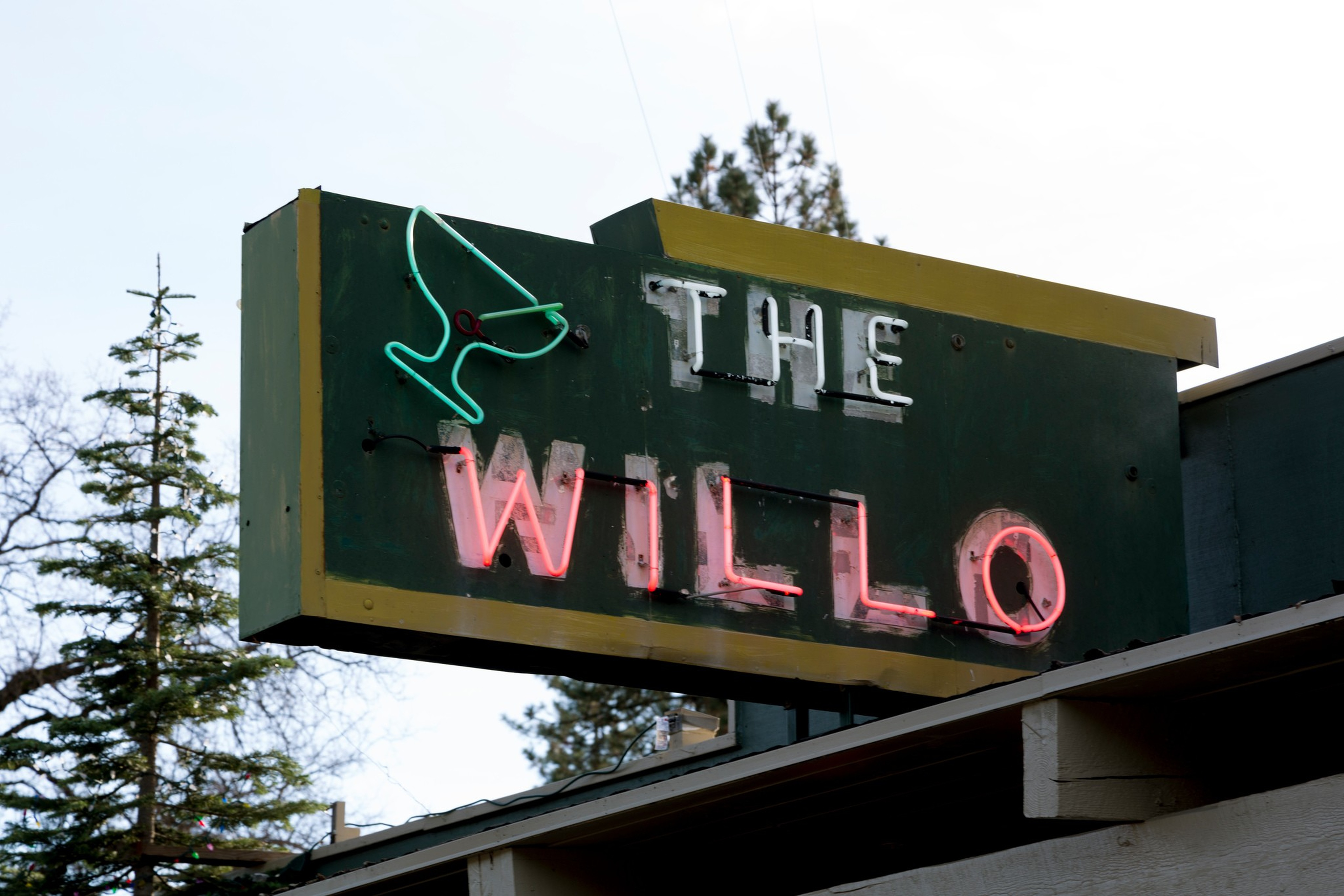 A green and yellow neon sign reads “THE WILLO,” with a turquoise martini glass above the text, mounted on a building with trees in the background.