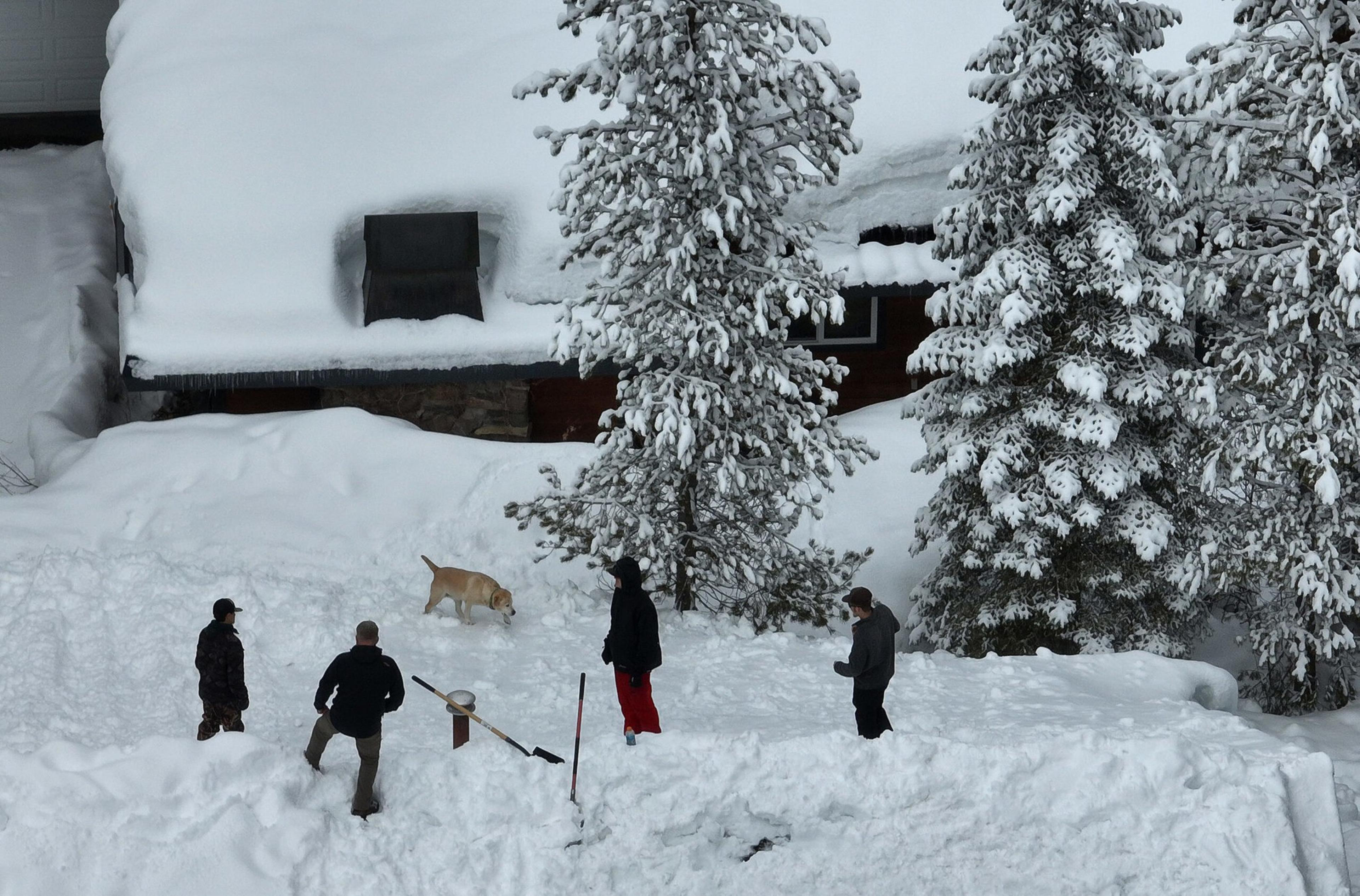 Four people stand in deep snow near snow-covered pine trees and a cabin roof, while a dog sniffs the snow nearby.