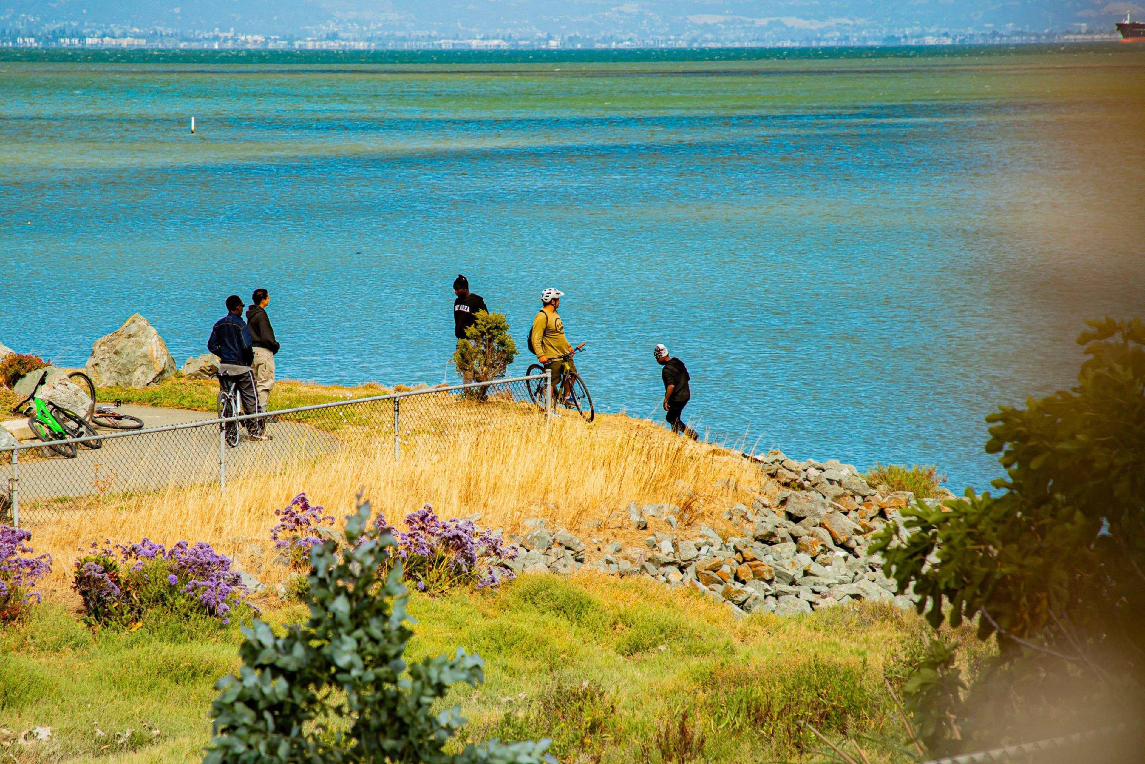 Five people stand by a lakeside path. Two have bicycles, and others are near a fence. The scene includes grass, rocks, and purple flowers by the blue water.