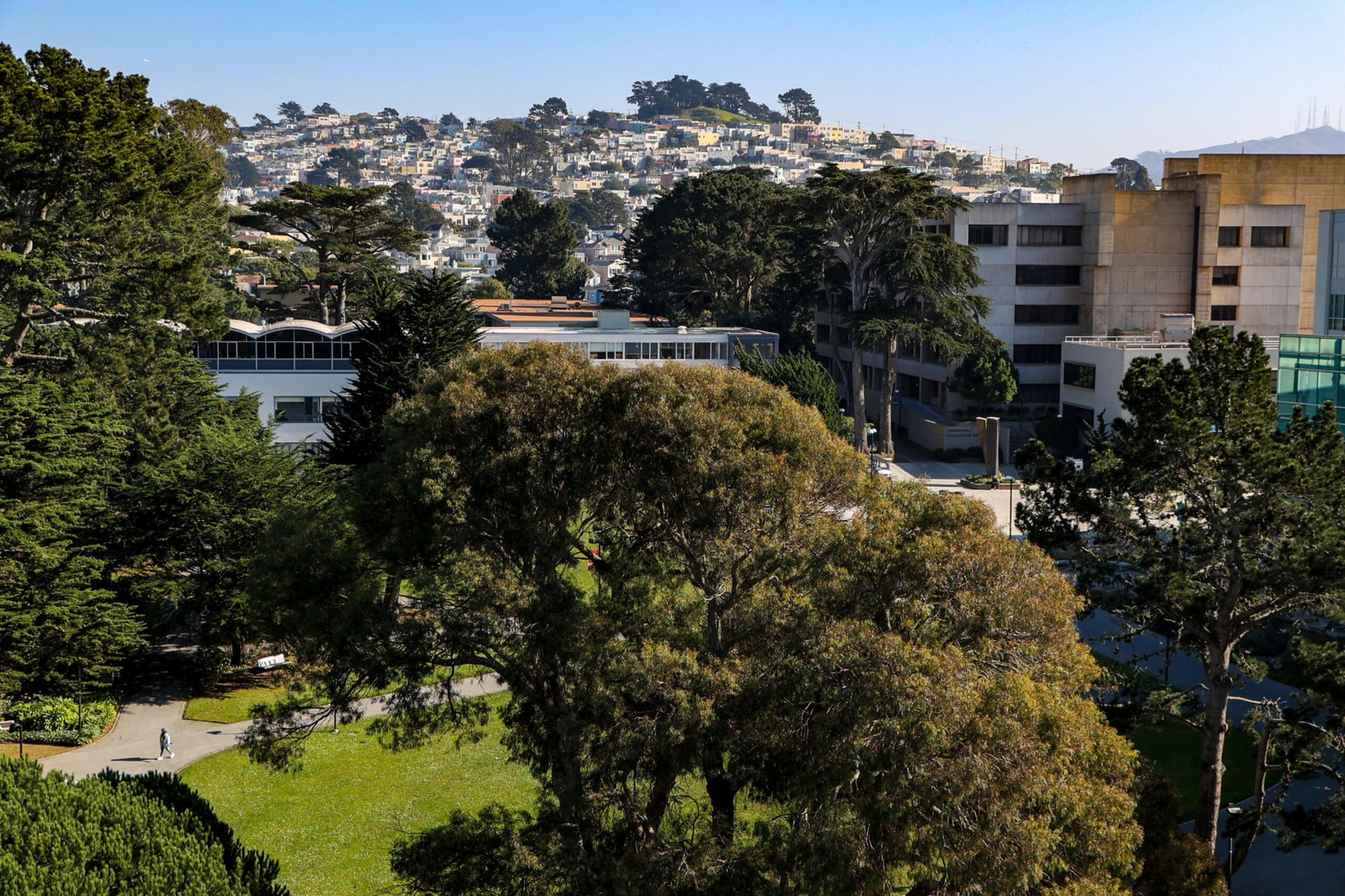 The image shows a lush green park with tall trees, surrounded by large buildings. In the background, there's a hillside densely covered with houses.