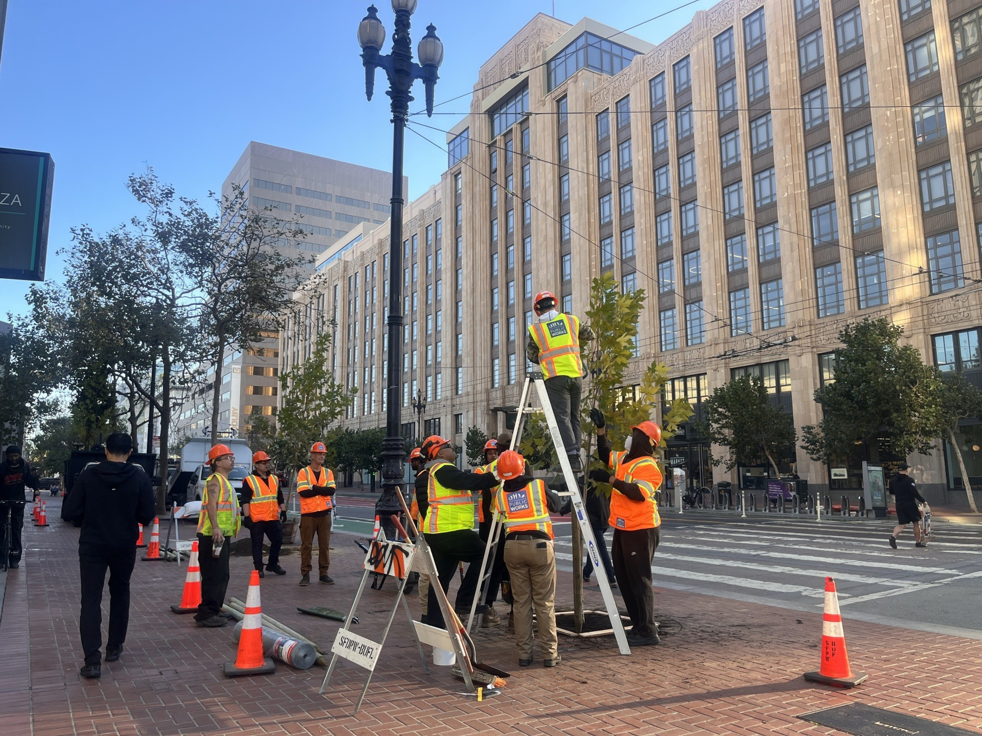 A group of San Francisco city workers in safety vests plant a tree along Market Street.