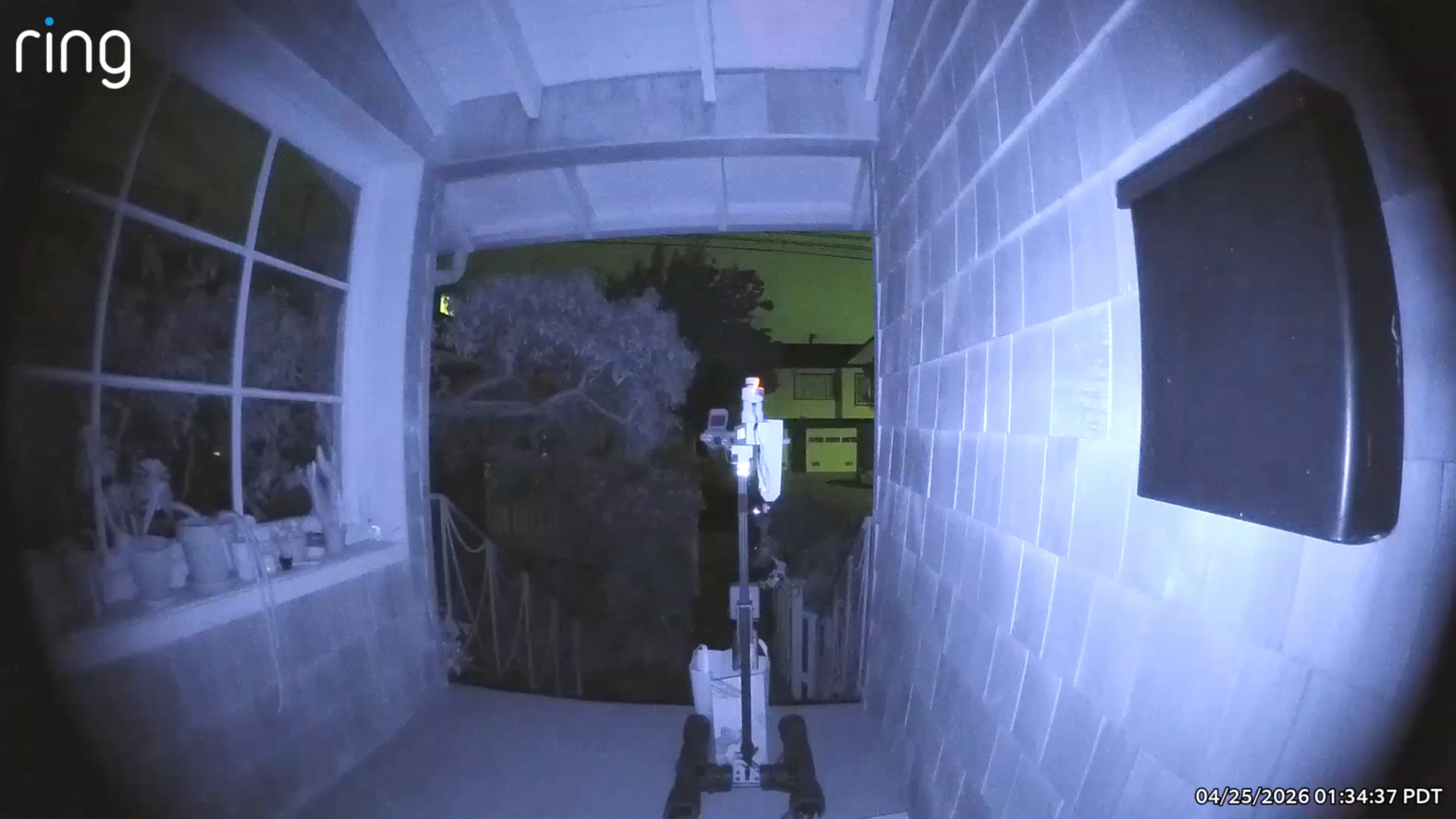 A stationary exercise bike sits on a porch at night, with potted plants on a windowsill to the left and a black mailbox on the right wall.