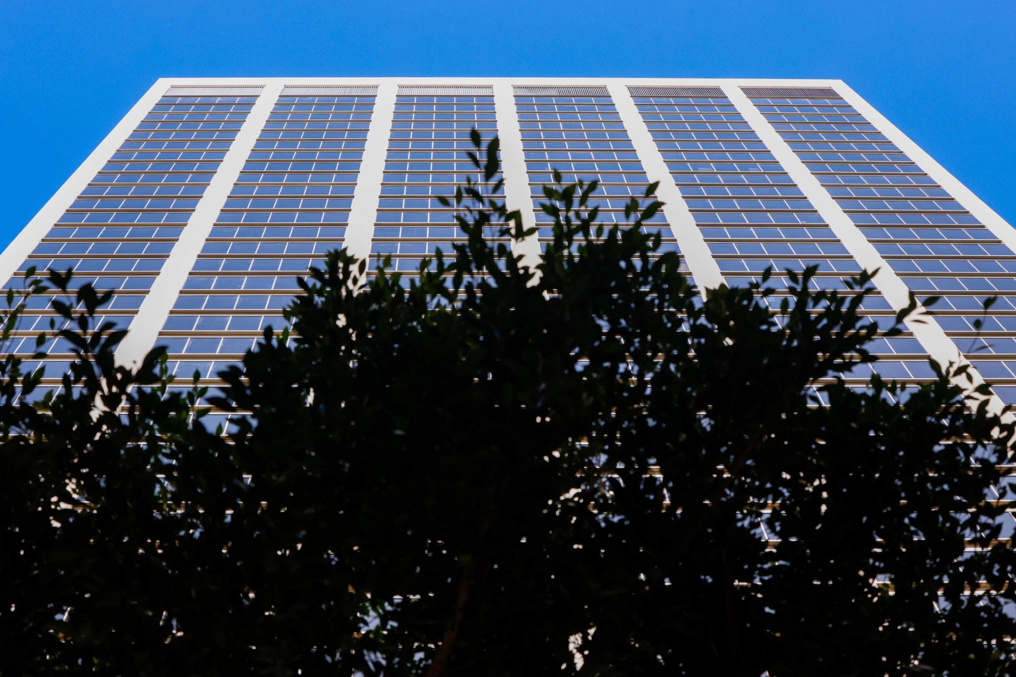 A tall building with a grid of windows towers against a clear blue sky, while dark green tree foliage obscures part of the lower view.