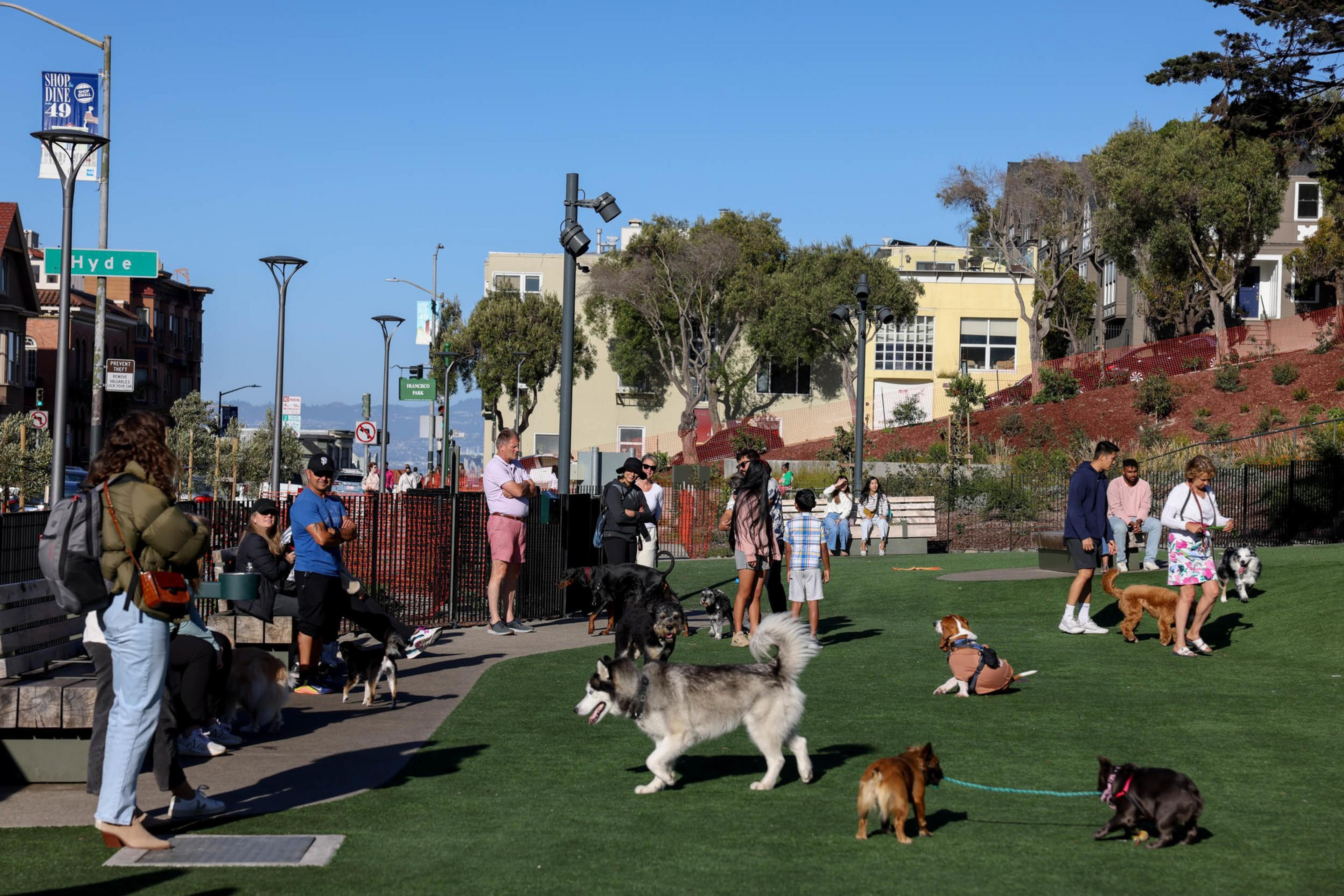 People and dogs gather in a sunny urban dog park, with some dogs playing on the grass and owners standing or sitting nearby.