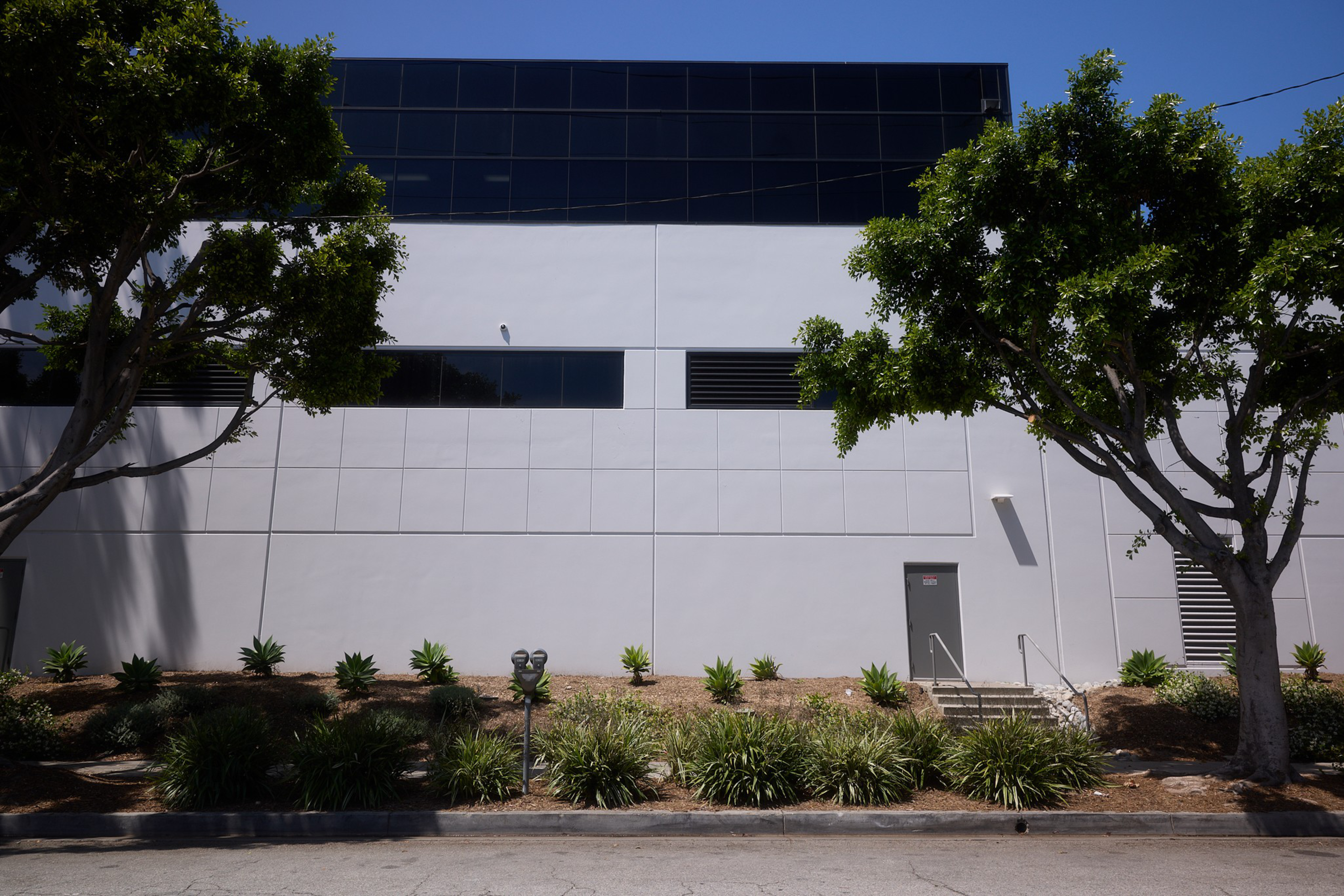 A plain white building wall with black windows at the top, flanked by two leafy trees and a small landscaped area with plants.