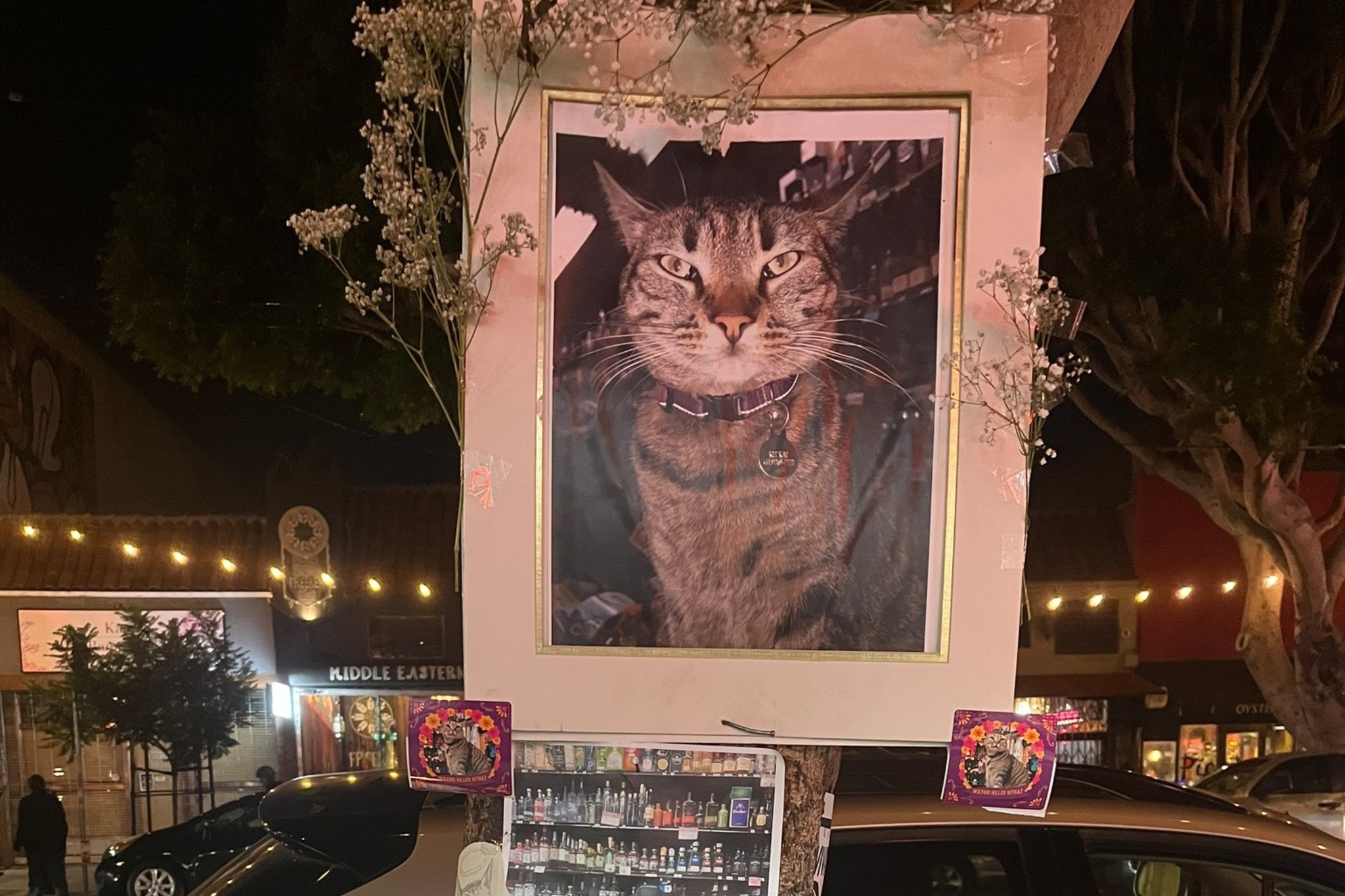 Photos of a cat are attached to a tree, surrounded by flowers and candles, forming a memorial on a sidewalk next to a parked car.