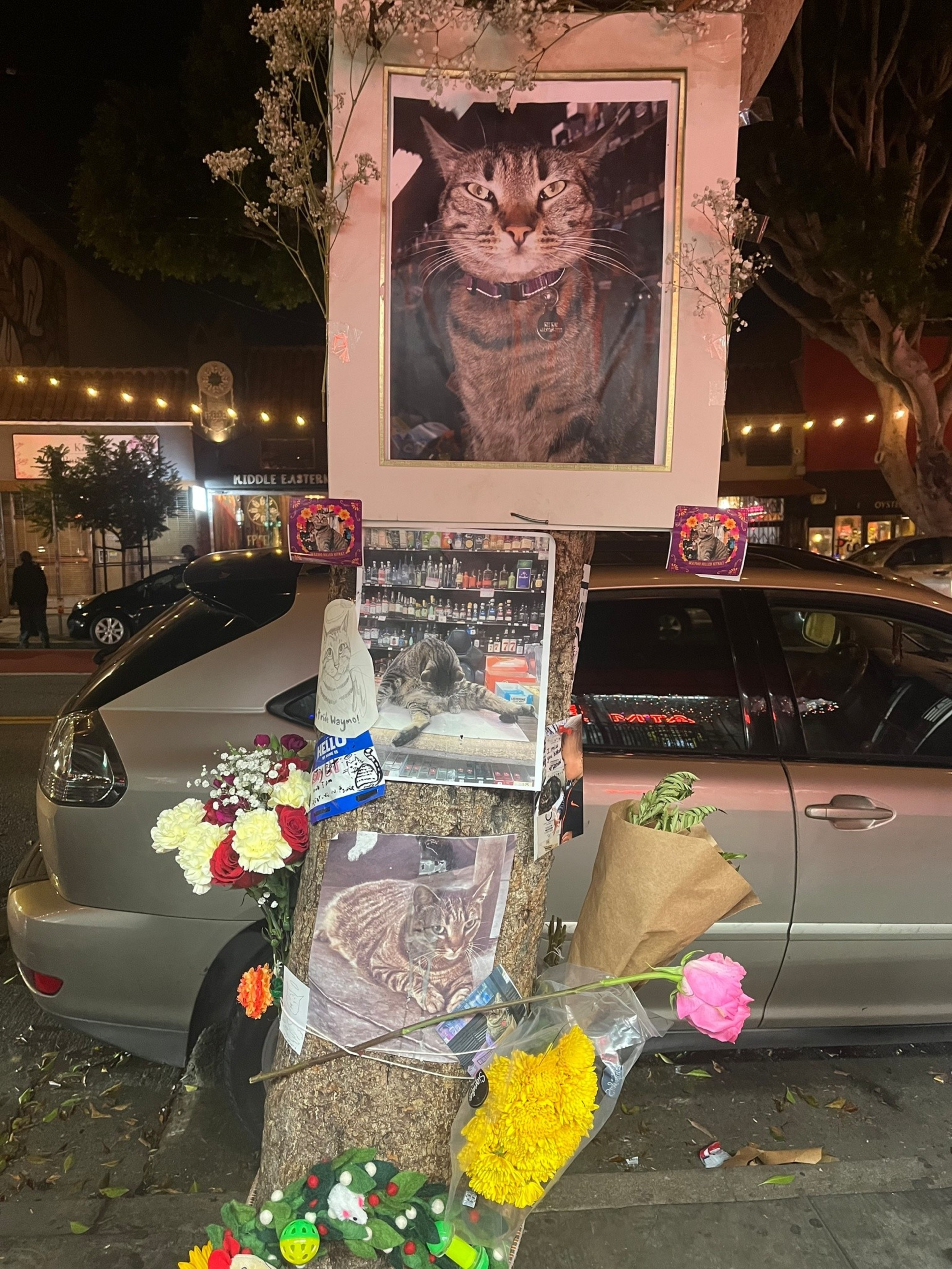 Photos of a cat are attached to a tree, surrounded by flowers and candles, forming a memorial on a sidewalk next to a parked car.