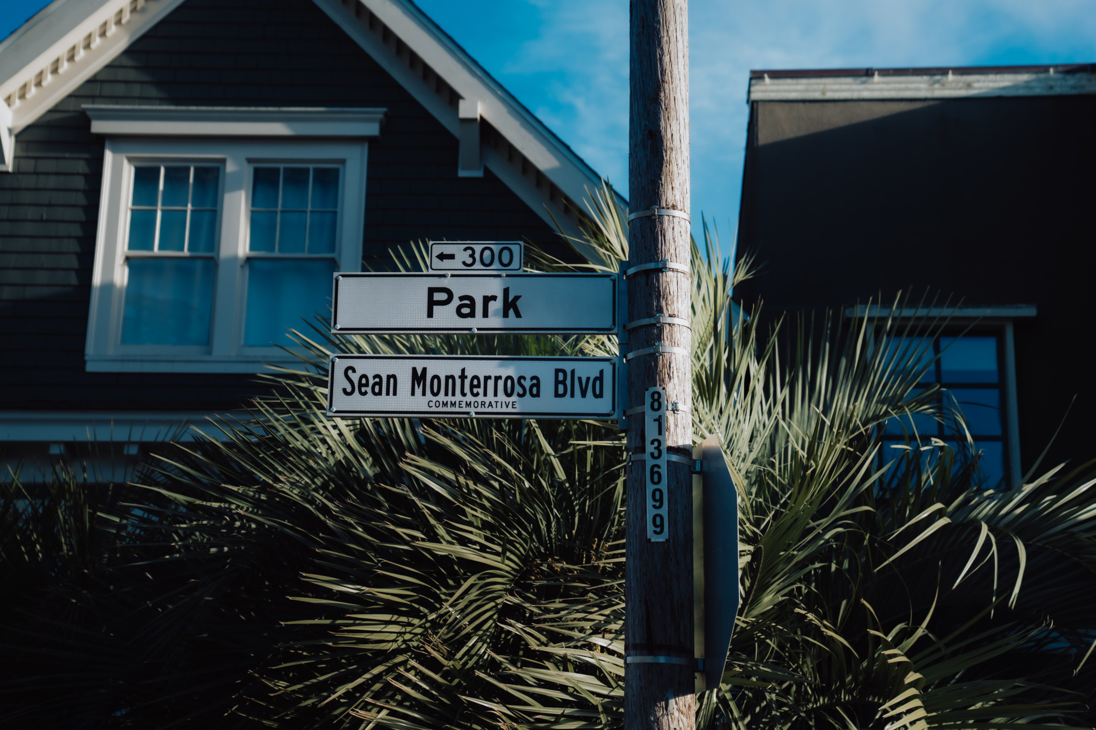 Street signs attached to a wooden pole read “Park” with a left arrow and “Sean Monterrosa Blvd Commemorative” in front of a house and palm leaves.