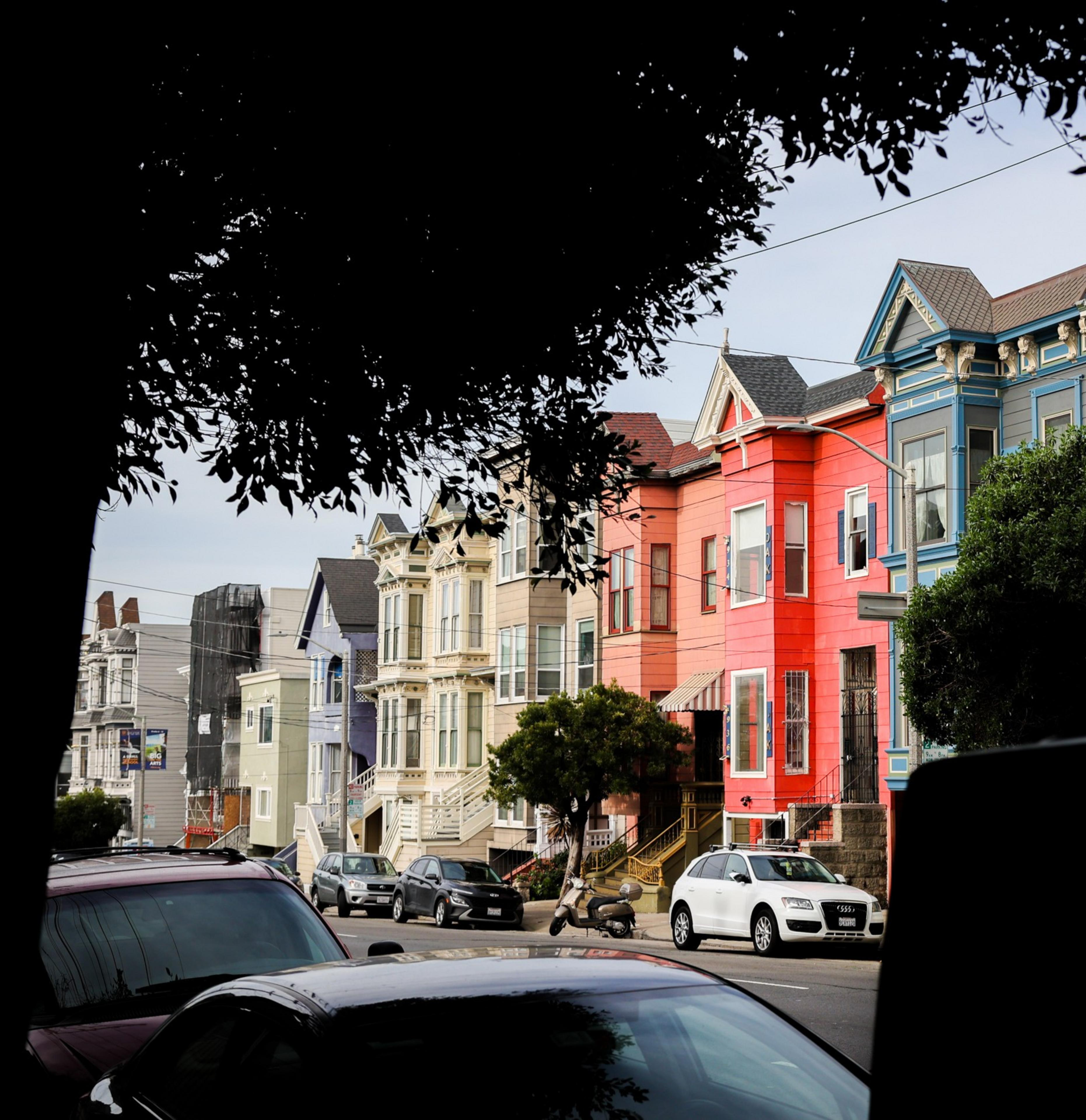Victorian houses on a sloped street with colorful facades, cars parked, and tree branches overhead.