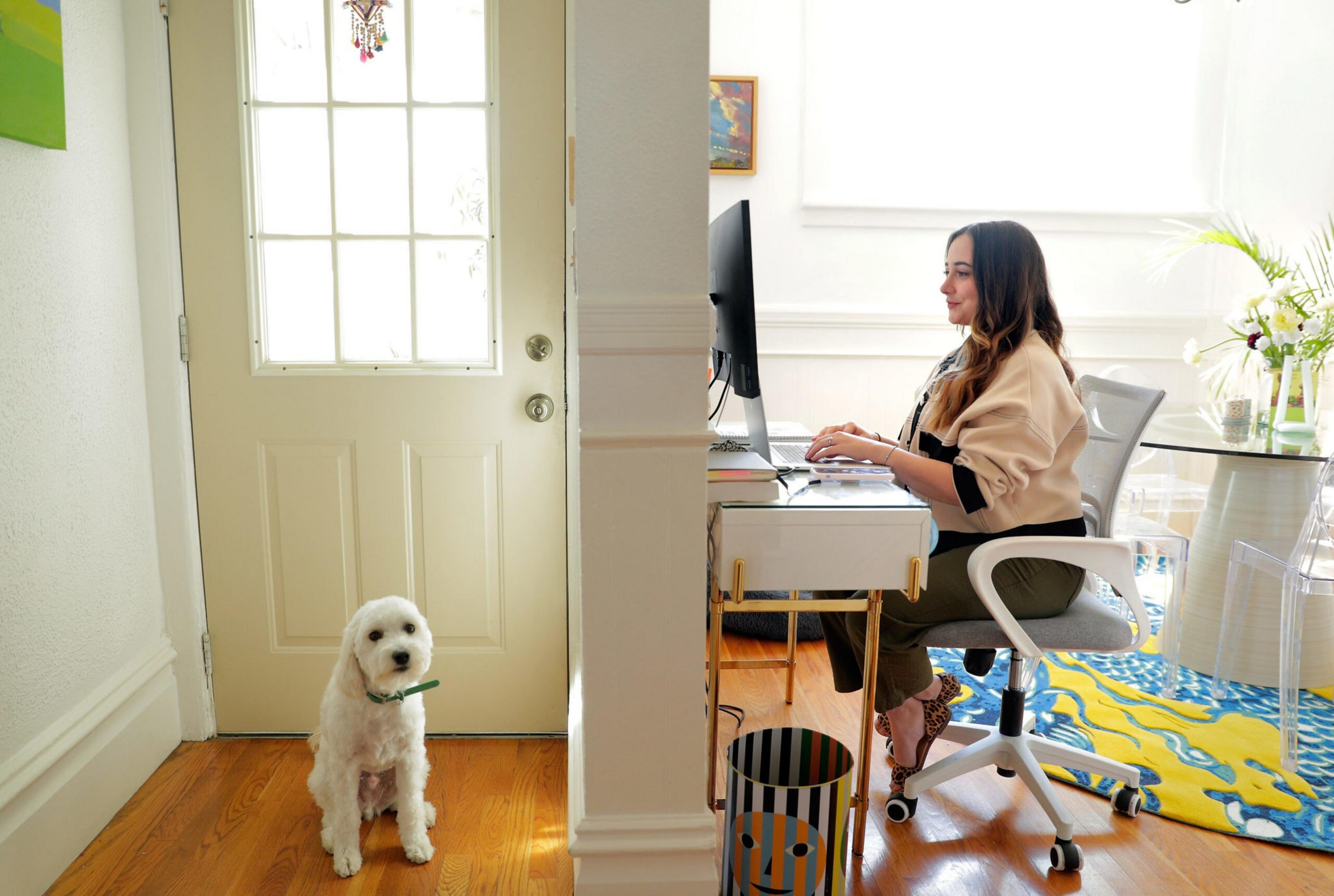 A women types on a computer with a dog looking at the camera