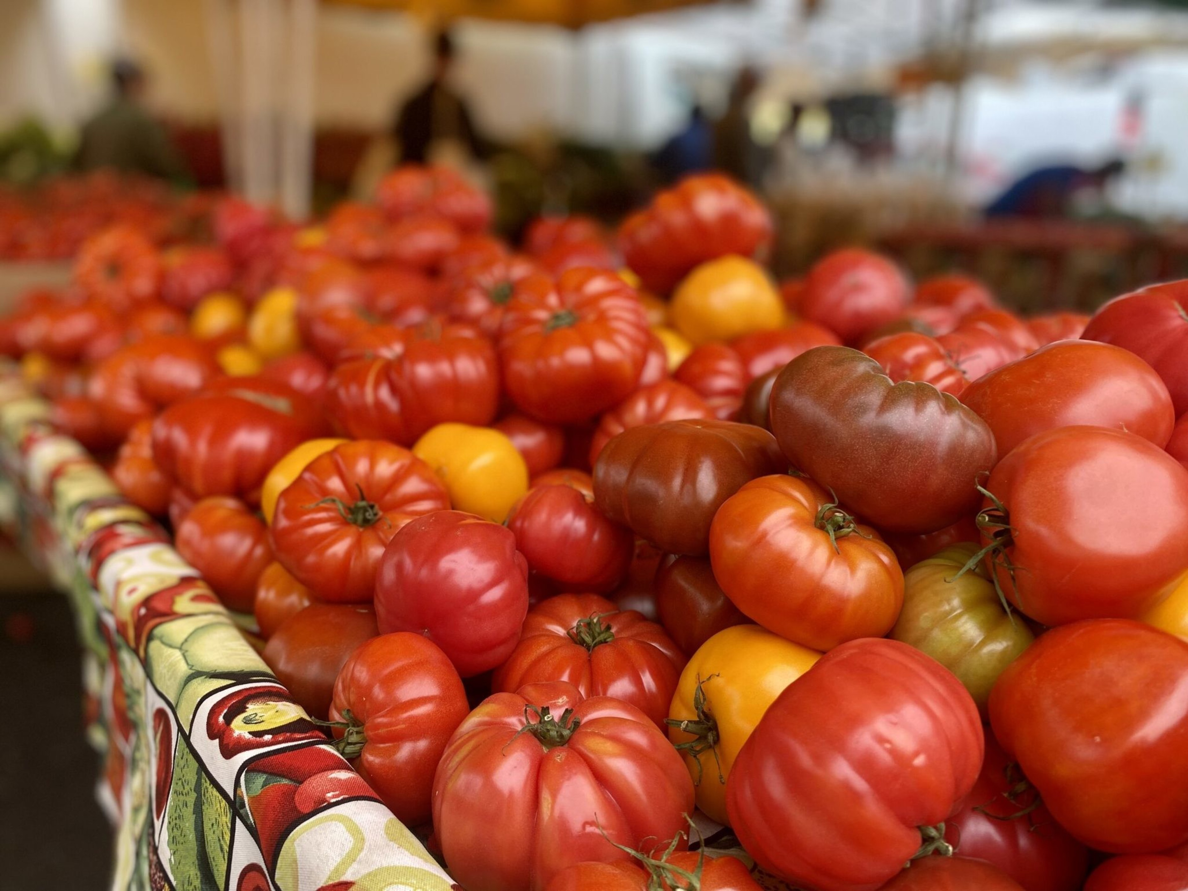 A colorful display of assorted heirloom tomatoes, predominantly red with some yellow and orange ones, arranged on a market stand with a patterned tablecloth.