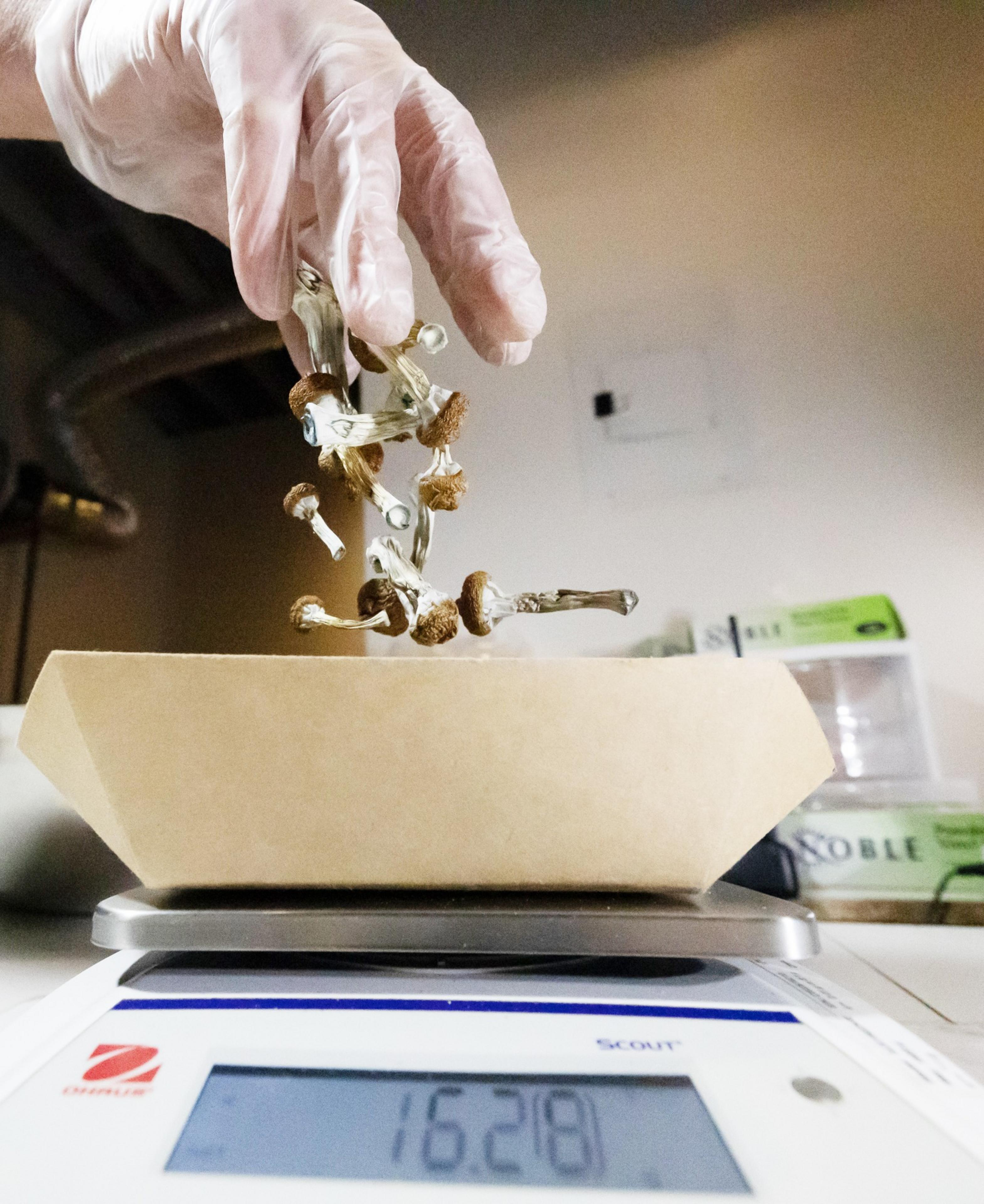 A gloved hand is dropping mushrooms into a paper box on a digital scale, reading 162.18 grams.