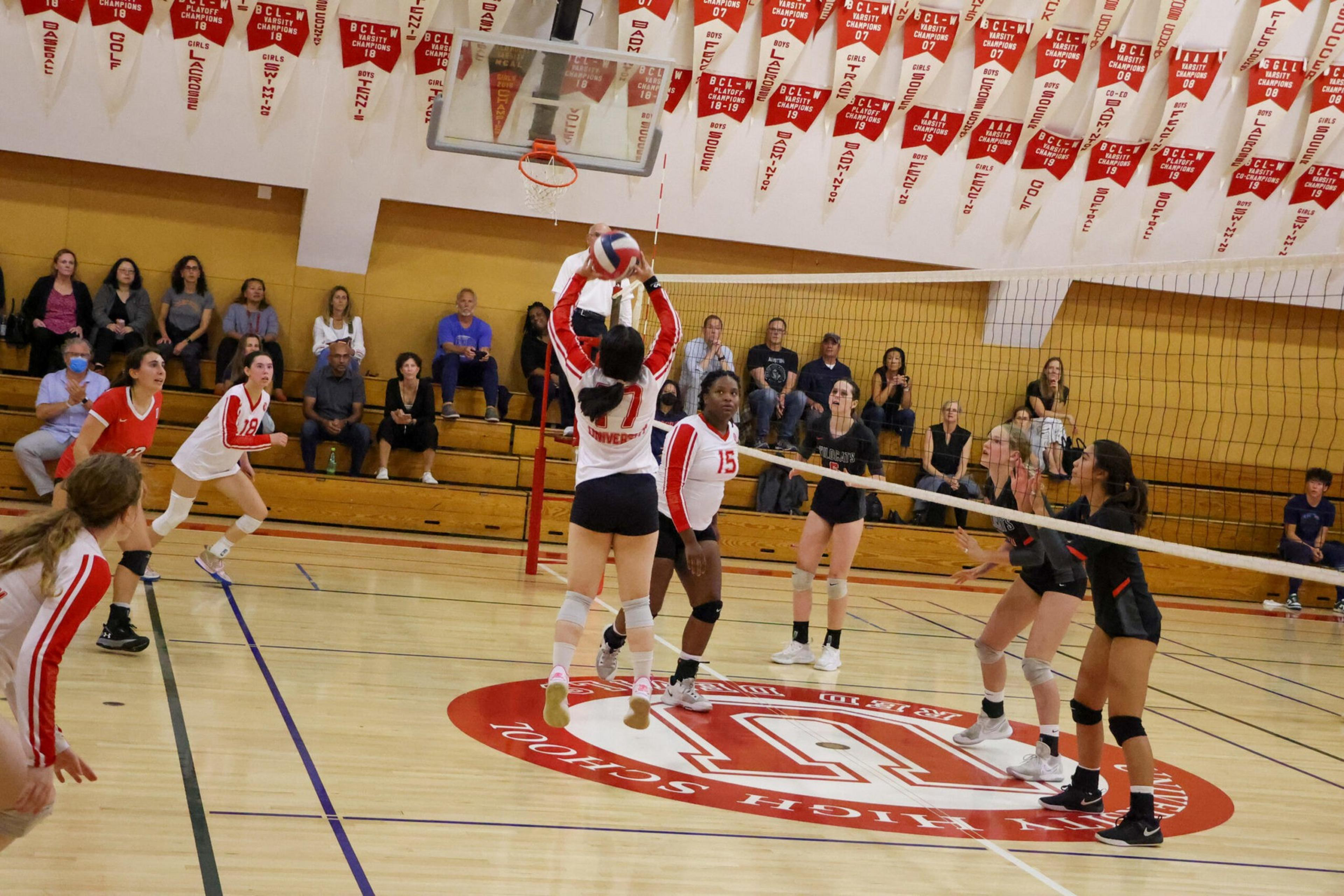 Two volleyball teams compete in a gym, with players poised near the net as one player in a white jersey jumps to set the ball. Spectators watch from the bleachers.