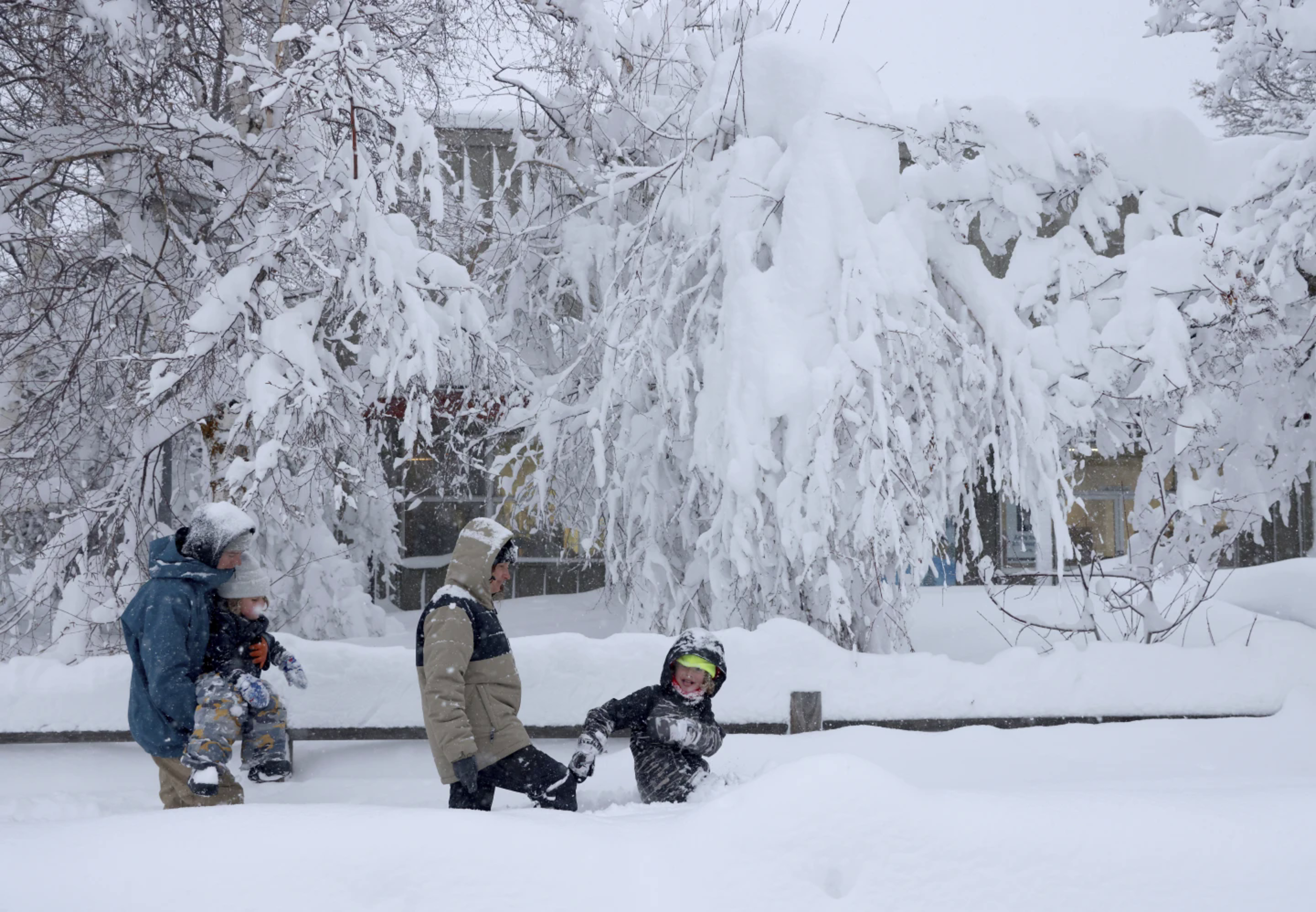 Three people are walking in heavy snow, with trees heavily laden with snow overhead.
