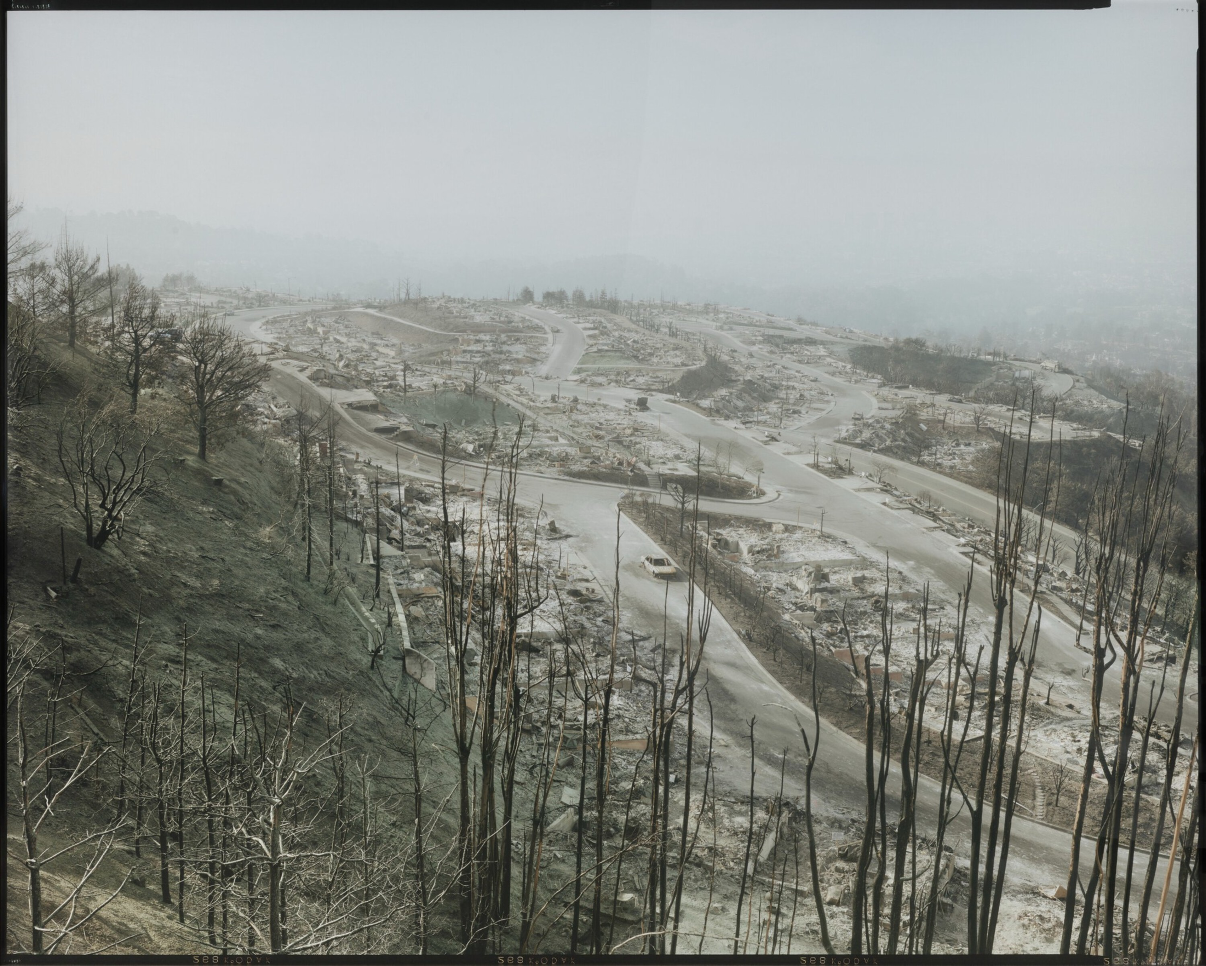 Burned-out trees and charred remains of structures surround winding roads in a desolate, smoke-filled landscape with a single vehicle on the road.