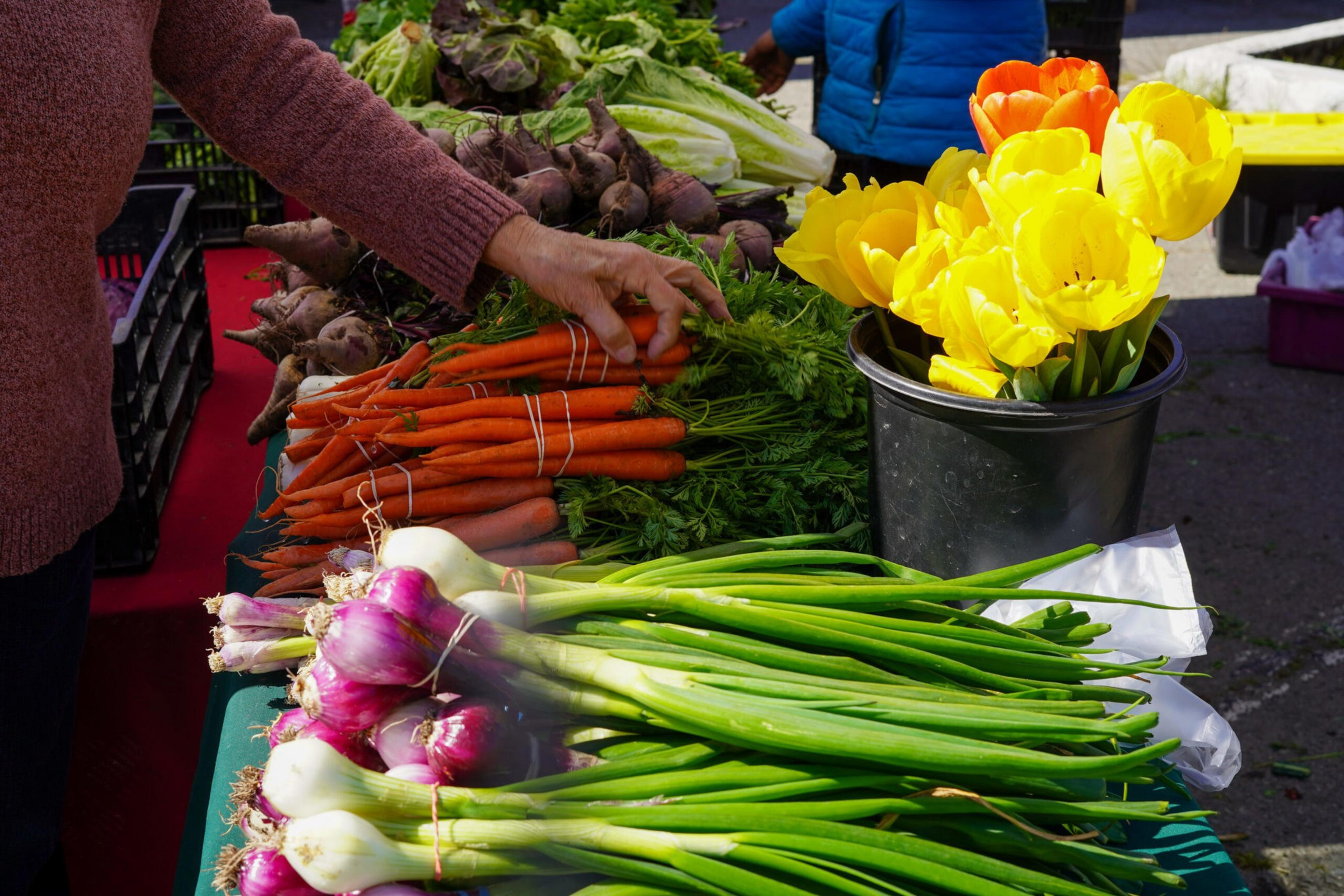A market stand displays bunches of carrots, beets, scallions, and a bouquet of yellow tulips; an arm reaches for the carrots.