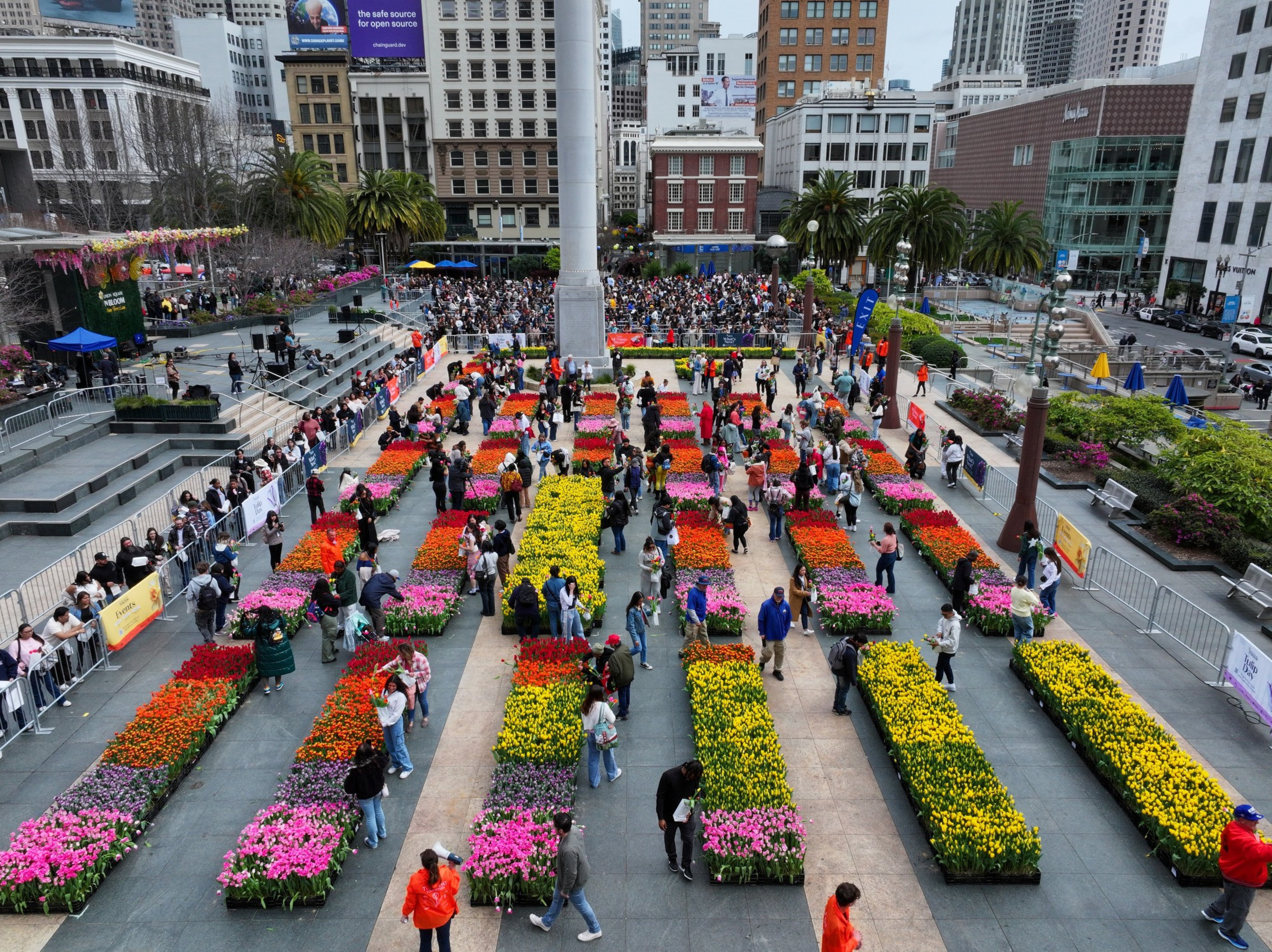 The image shows a vibrant flower display in a public square, with colorful tulip arrangements in neat rows. People are walking around the area, surrounded by city buildings.