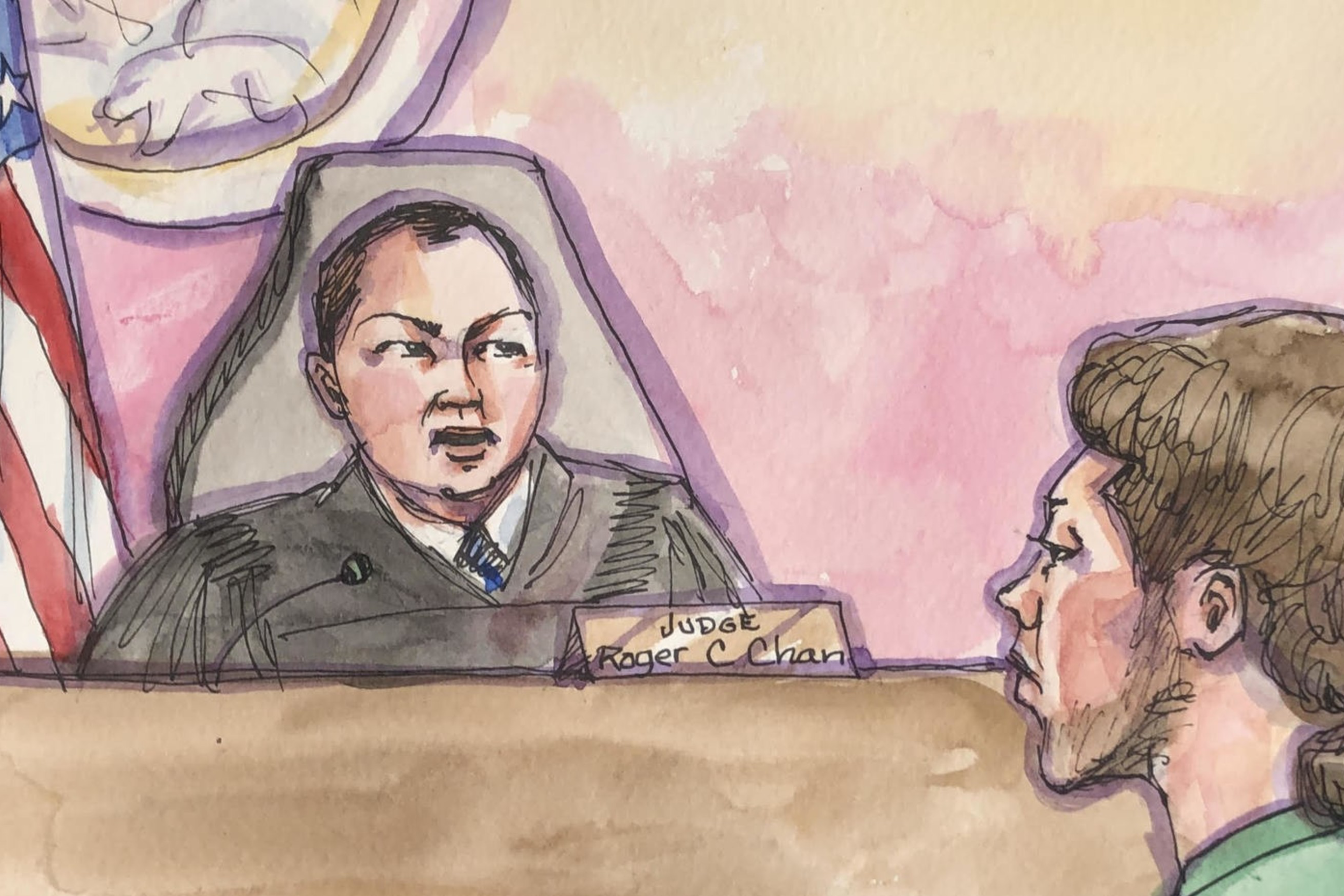 A judge sits behind a bench with an American flag and a crest in the background, facing a person with long hair tied back in court.
