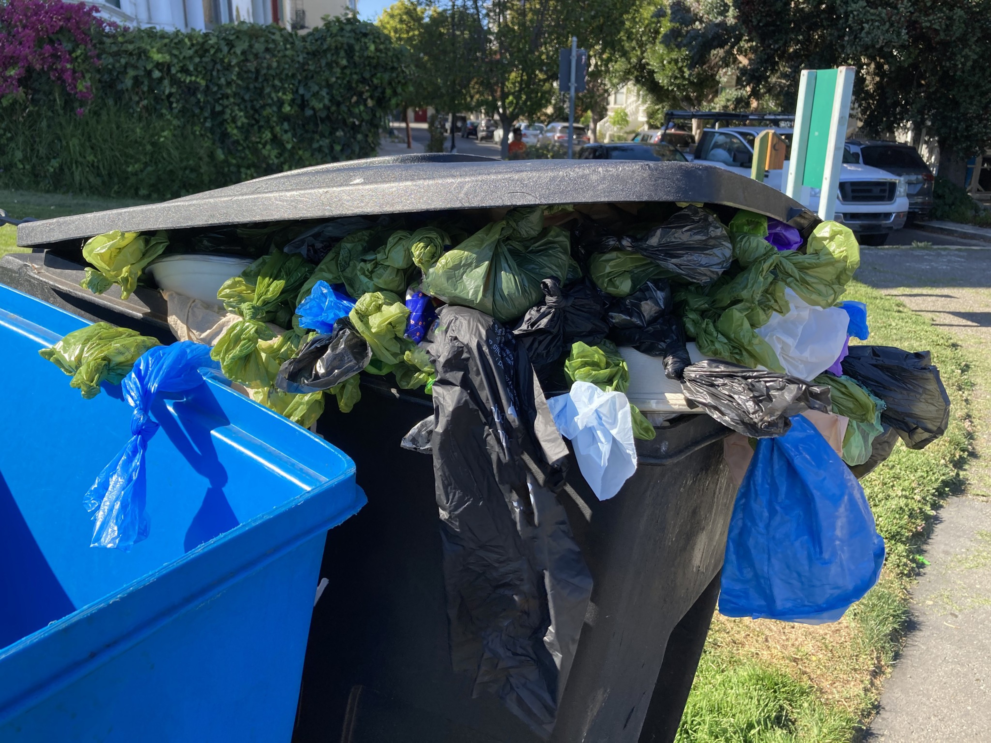 An overflowing trash bin with many plastic bags in various colors poking out from under the half-closed lid. A blue recycling bin is nearby, and green grass is visible.