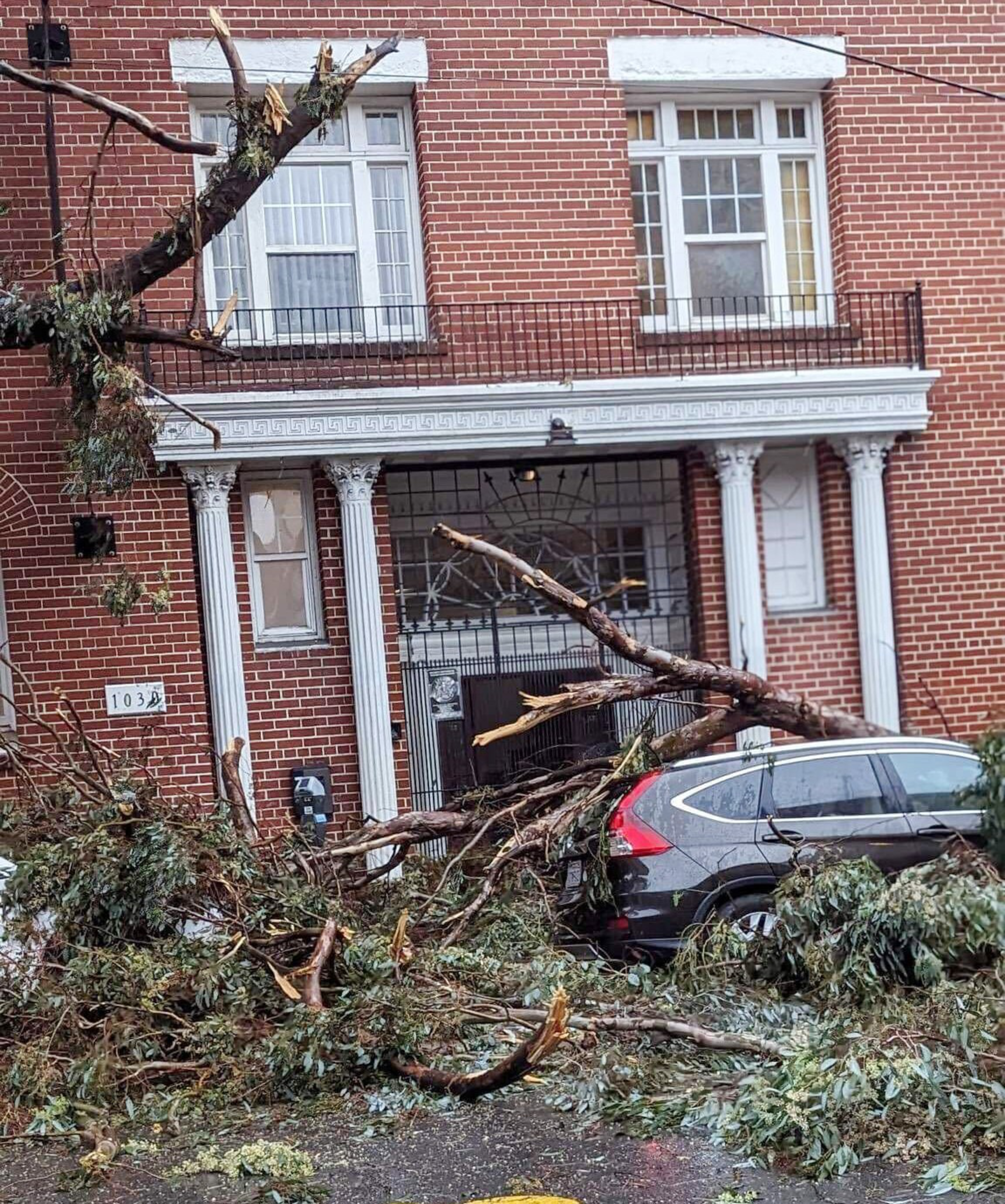 A large fallen tree has crashed onto a parked silver SUV in front of a red brick building with white columns and windows.