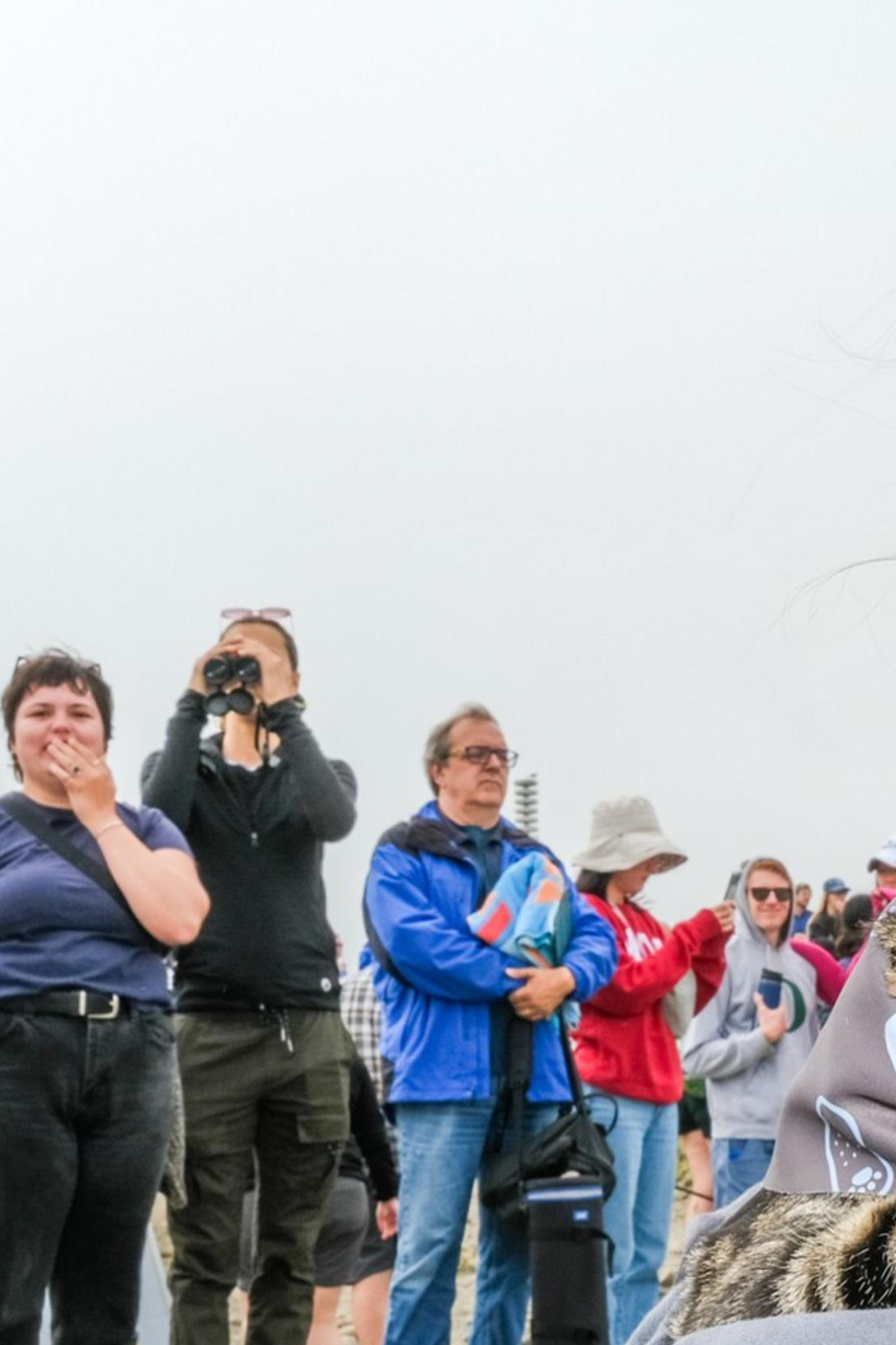 A girl is holding a cat tightly, smiling at the camera, while a group of people behind her are watching and taking photos on a foggy beach.