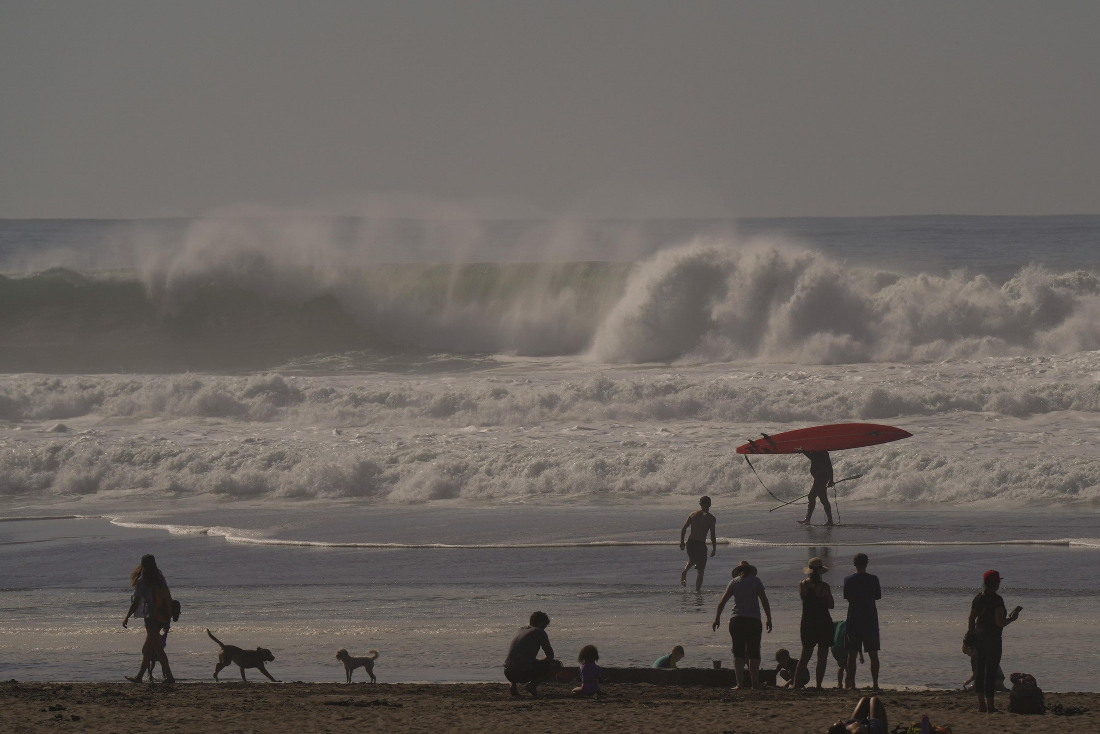 A beach scene with large waves crashing in the background. People and dogs walk along the shore, and one person carries a red surfboard into the water.
