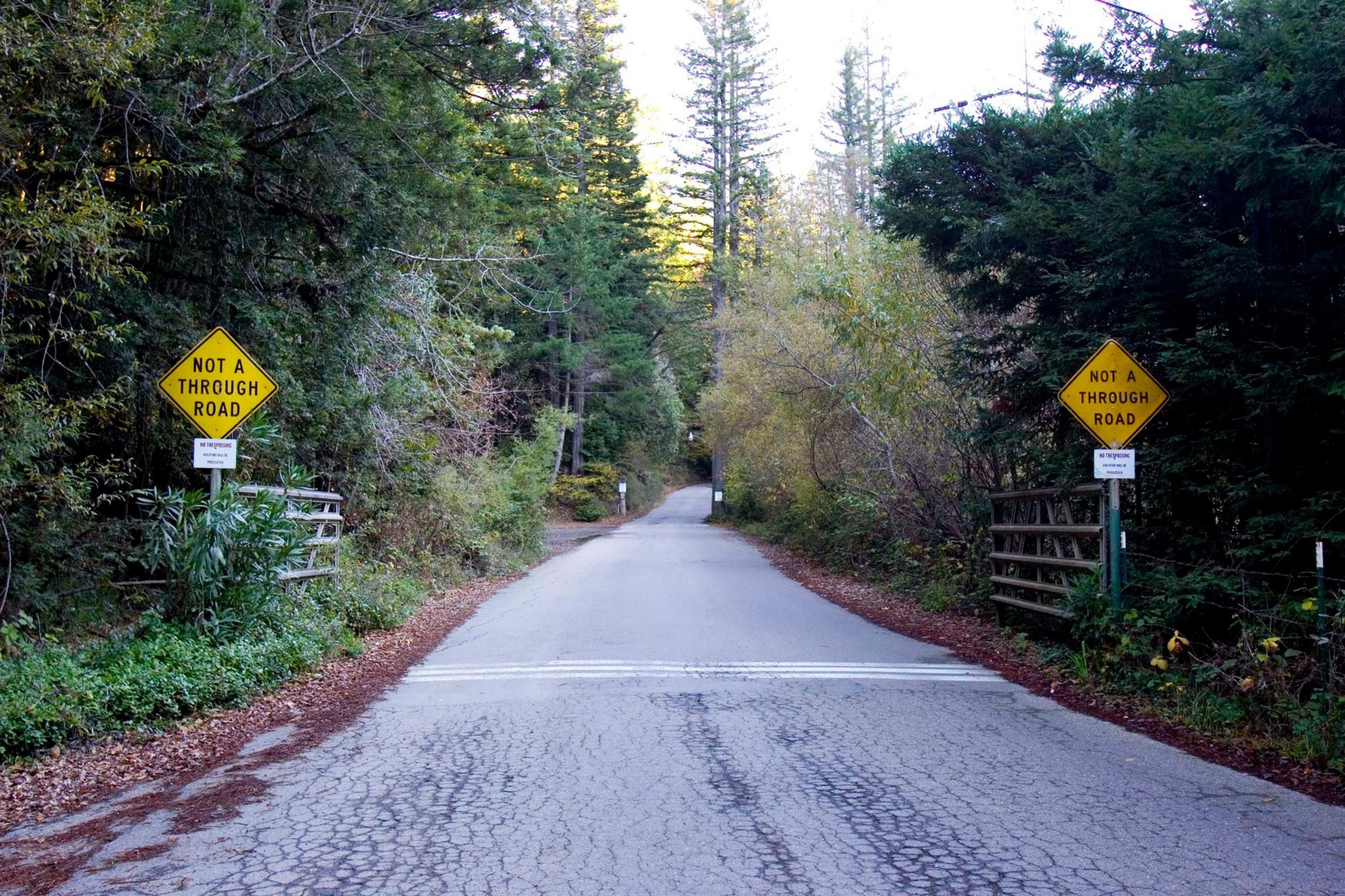 A narrow asphalt road surrounded by dense trees on both sides has two yellow signs stating "Not a Through Road."