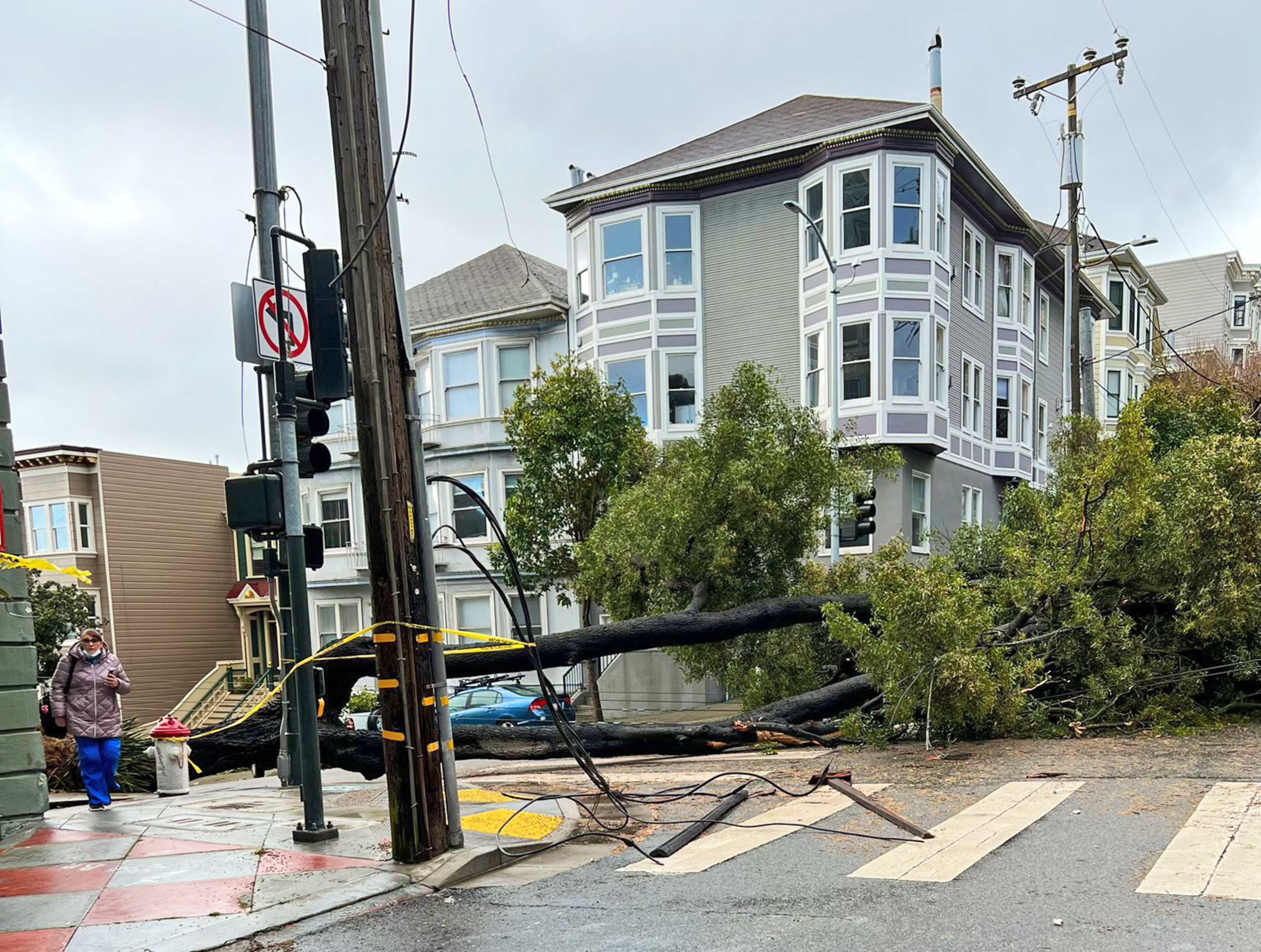 A large fallen tree blocks a street and sidewalk, with power lines down, near a gray multi-story building on a cloudy day. A person walks nearby wearing a mask.