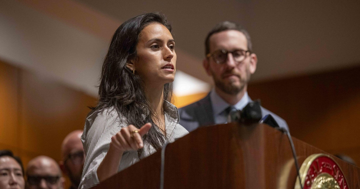 Jackie Fielder wants a hearing on the mayor’s permit software. A Lurie ally may stop it