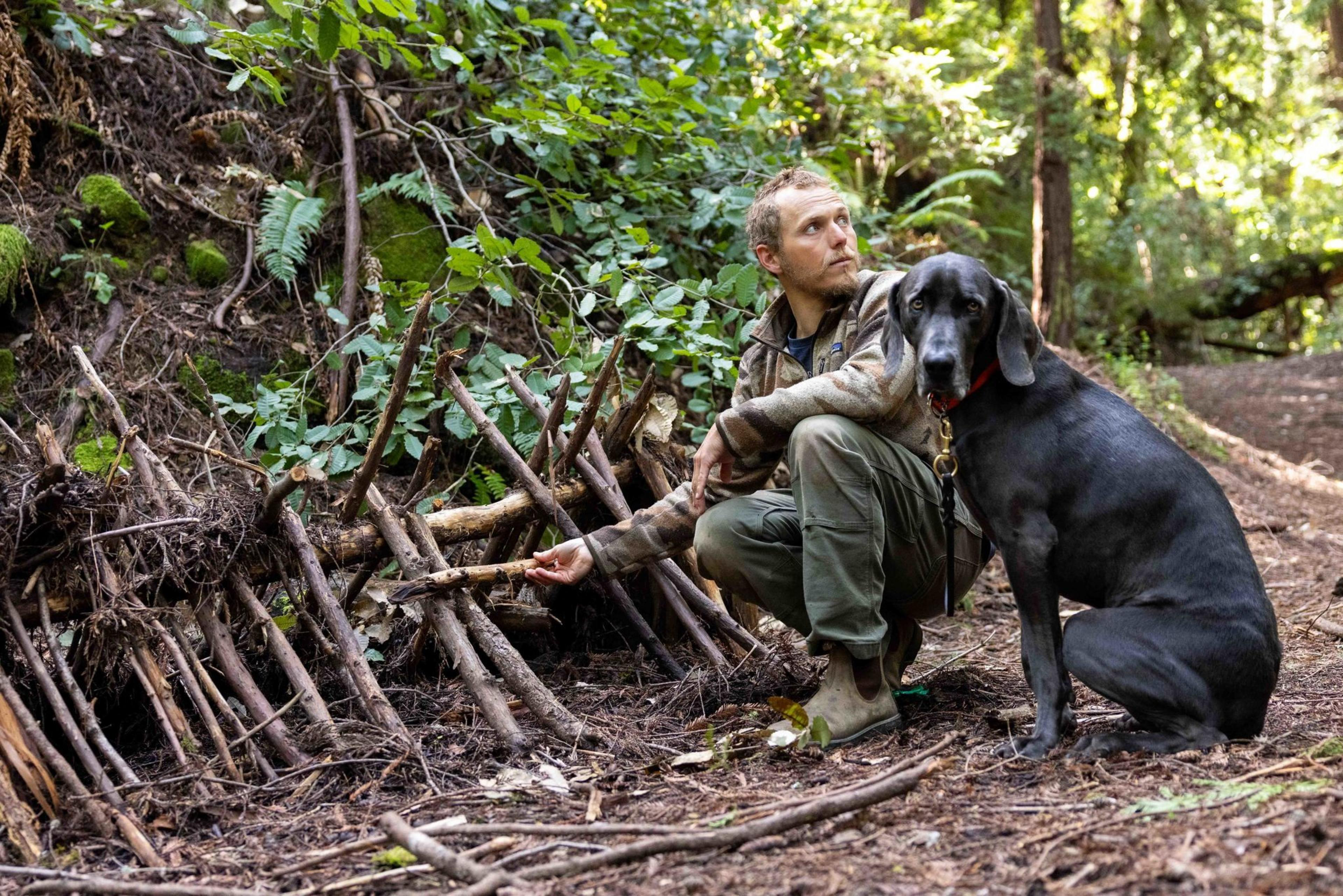 A person crouches in a forest next to a large black dog. They are examining an arrangement of sticks leaning against a dirt bank, surrounded by foliage.