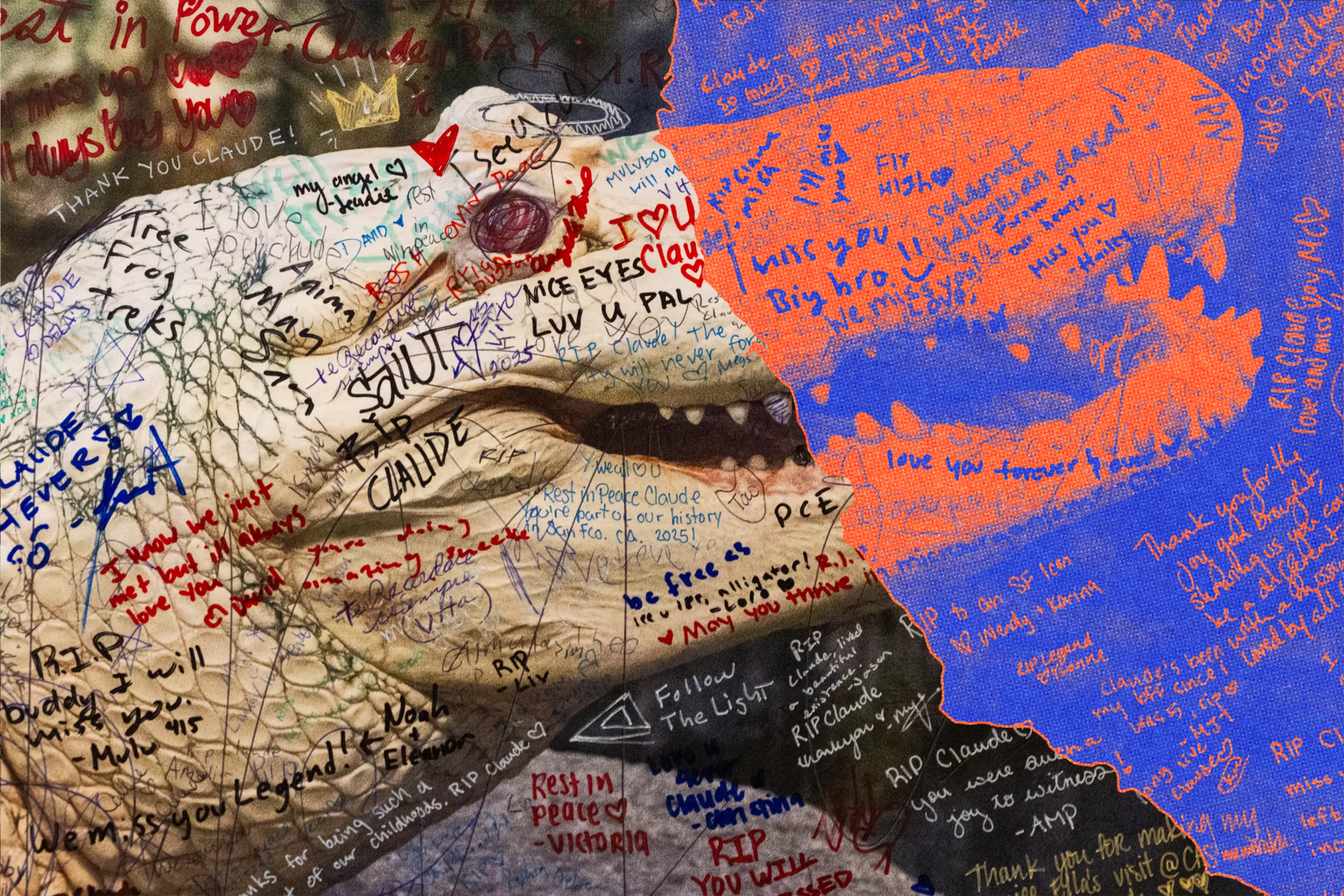 Listen: What Claude taught his keeper — and everyone else in San Francisco