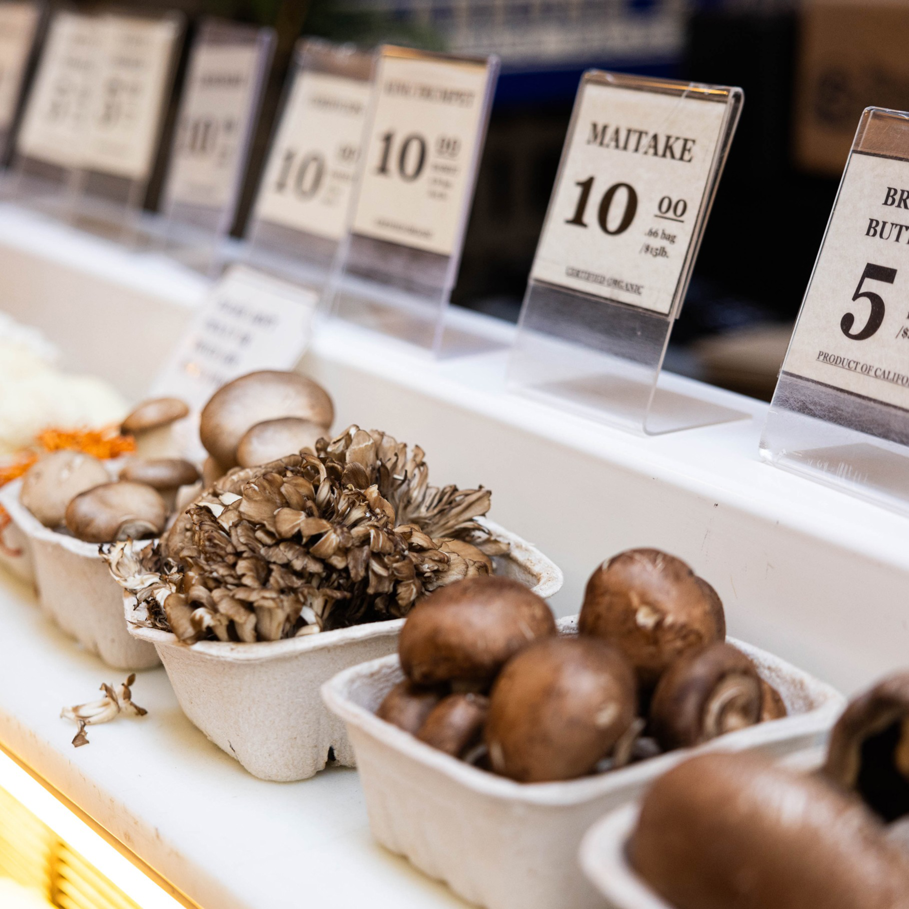 A tight detail of mushrooms for sale in trays including Maitake, Brown Buttons, and King Trumpet.