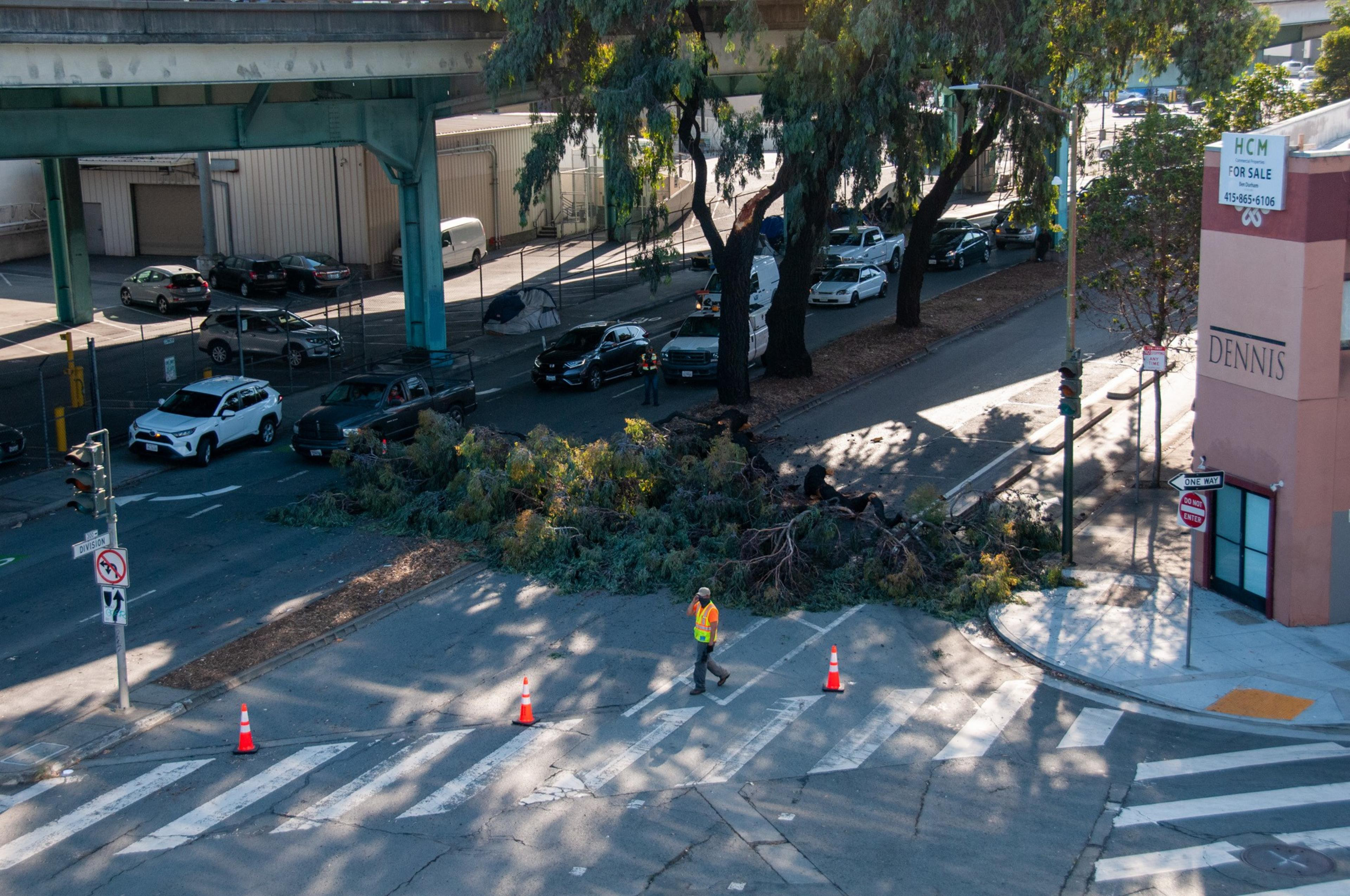 A large tree blocks one side of Division and 10th streets in San Francisco, Calif. on Sept. 6, 2022. | Sophie Bearman/The Standard
