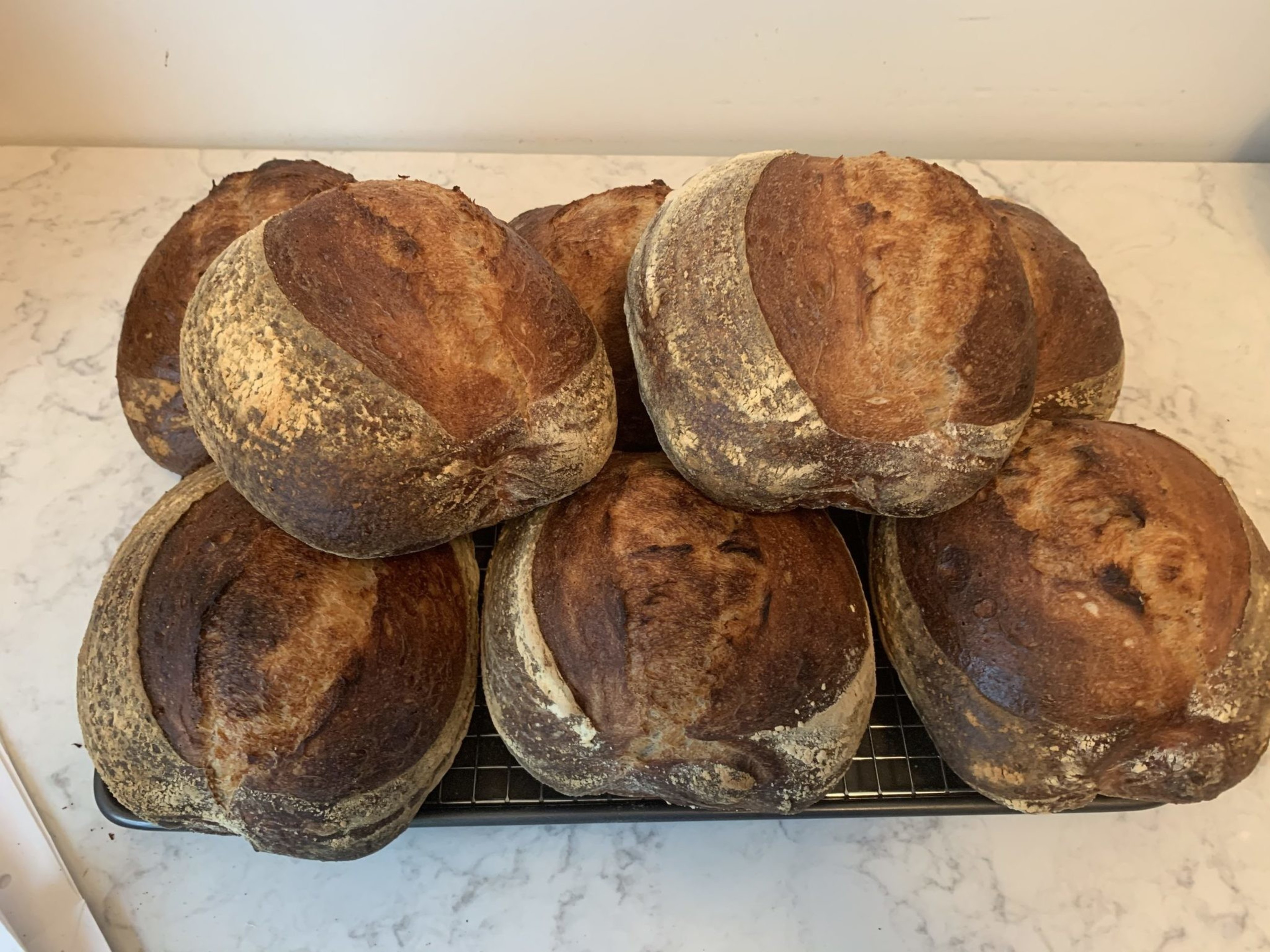 Eight round, crusty sourdough loaves with golden-brown tops and flour-dusted sides are cooling on a wire rack on a marble countertop.