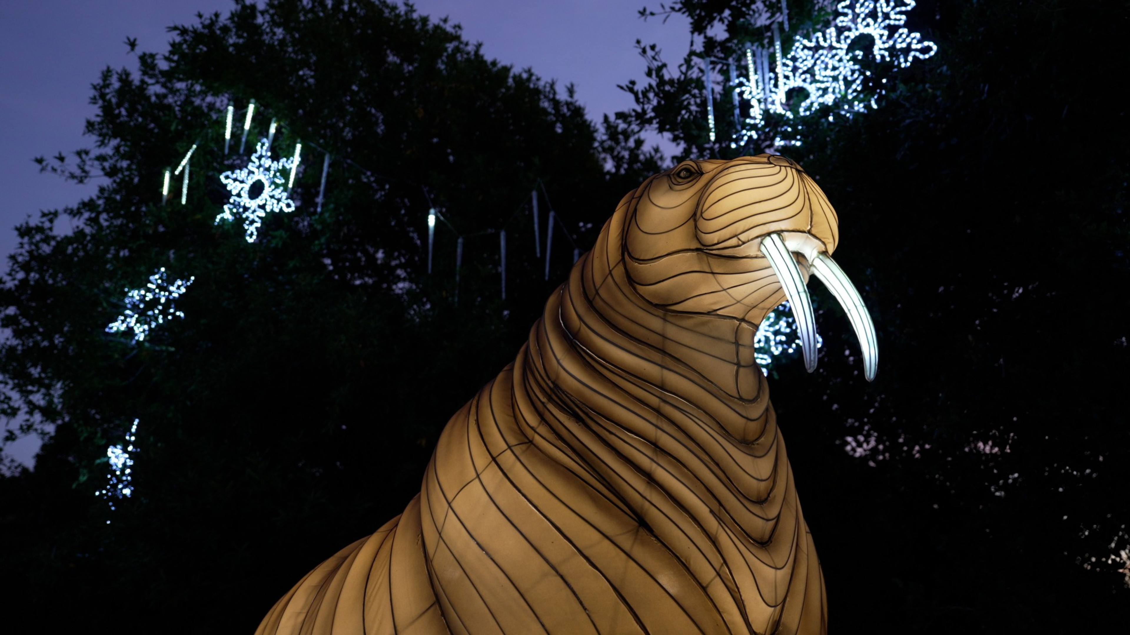 An illuminated walrus stand tall against light up snowflakes in the background. 