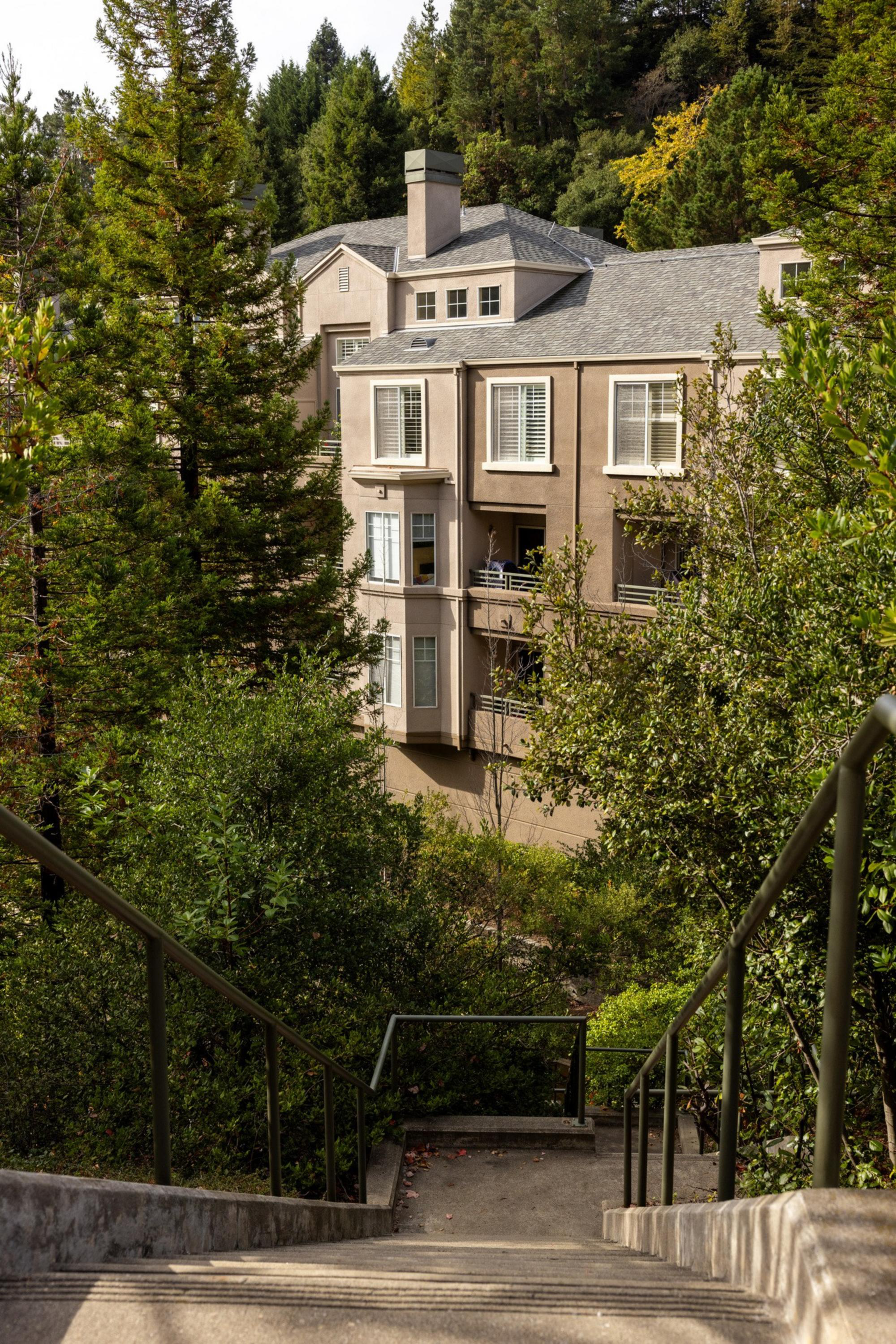 A beige multi-story building is partially hidden by tall green trees, viewed from the top of a concrete stairway with metal railings surrounded by dense foliage.