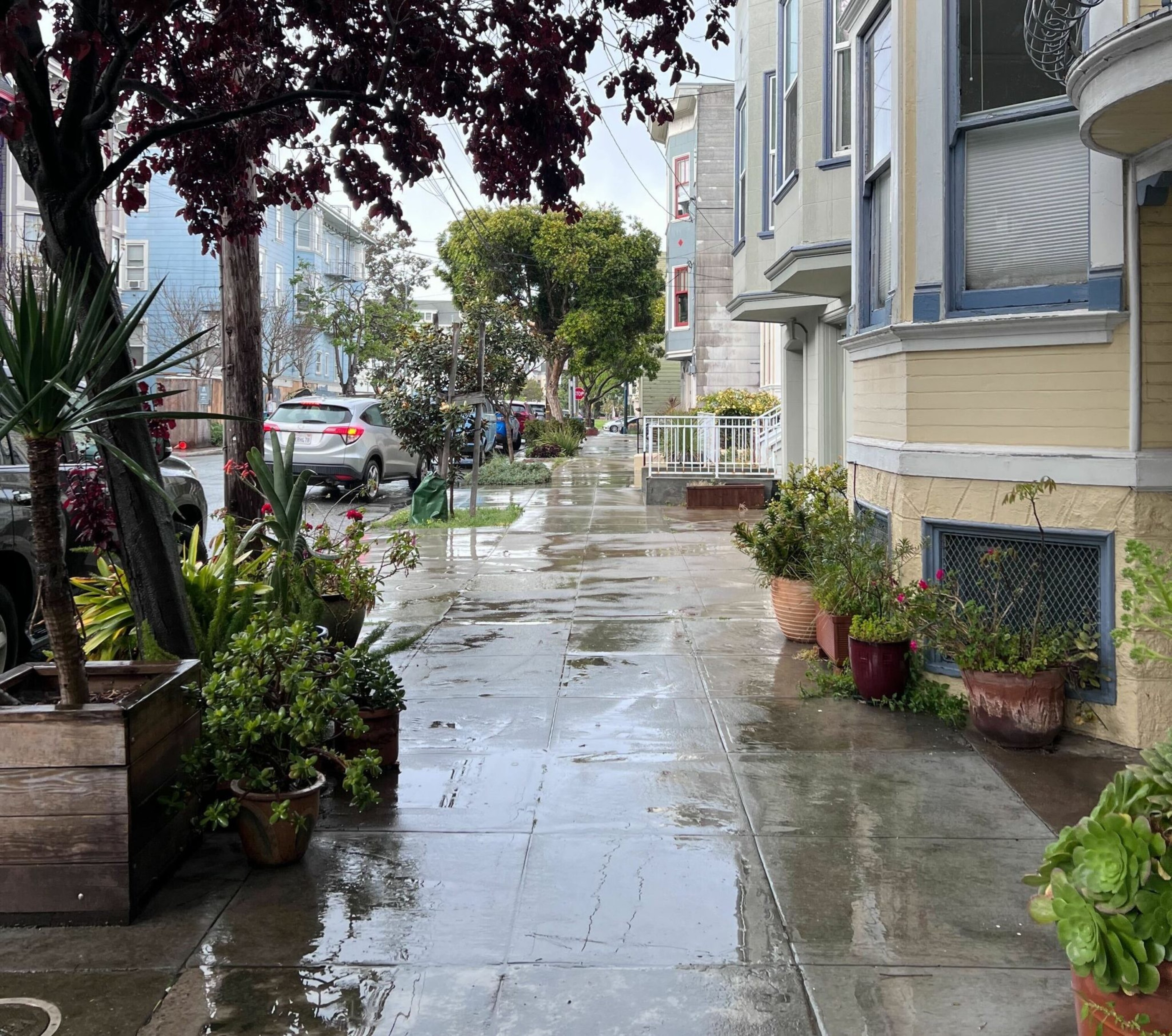 A rainy sidewalk in on an urban street.