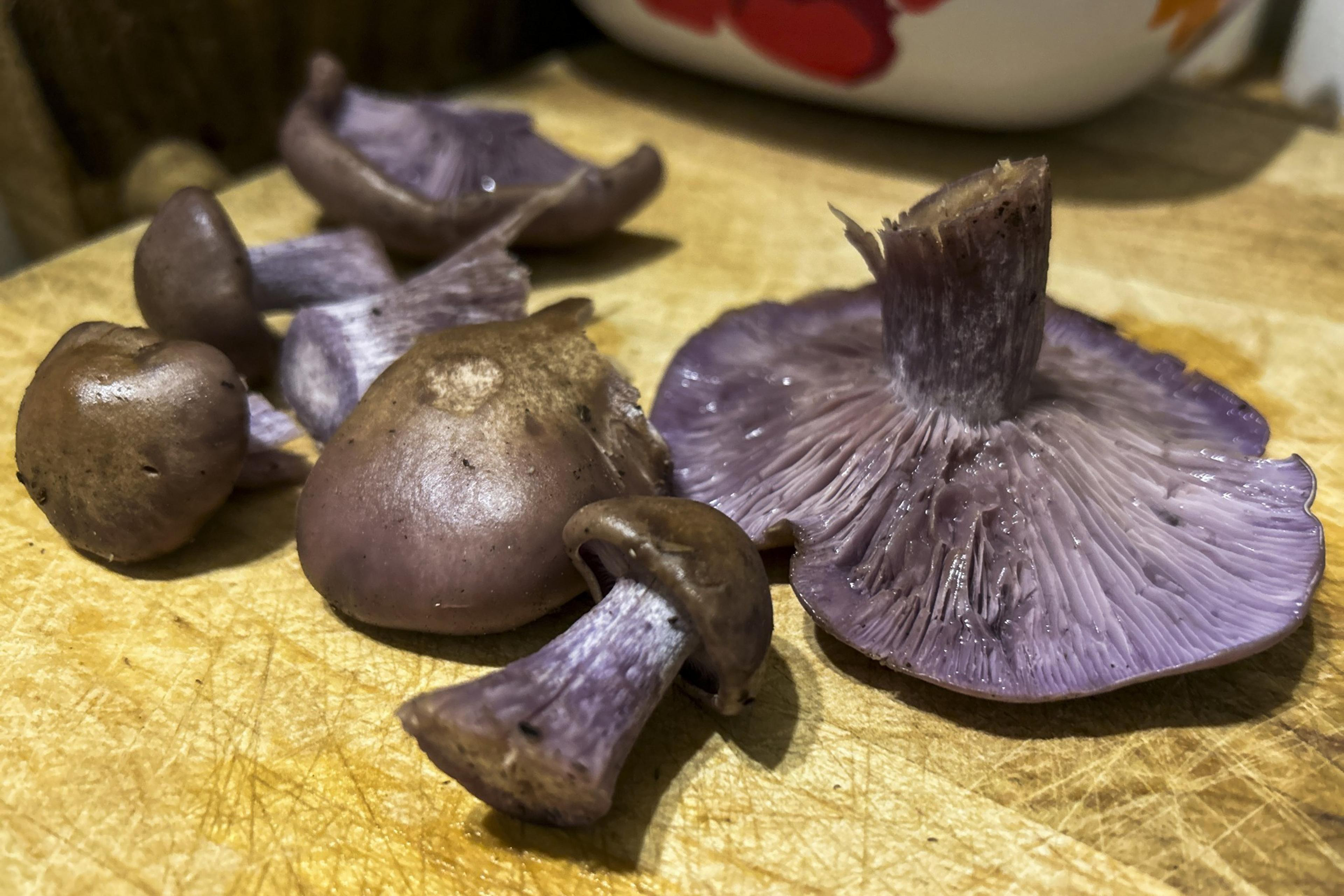 sliced and whole purple mushrooms on a cutting board