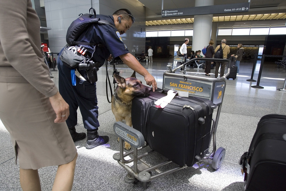 Suspect tried to take 44 pounds of meth to Australia. Cops got her at SFO